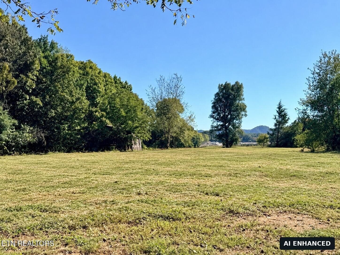 MLS_Photo_11 - 6335 Highway 411, Madisonville, TN 37354, Madisonville