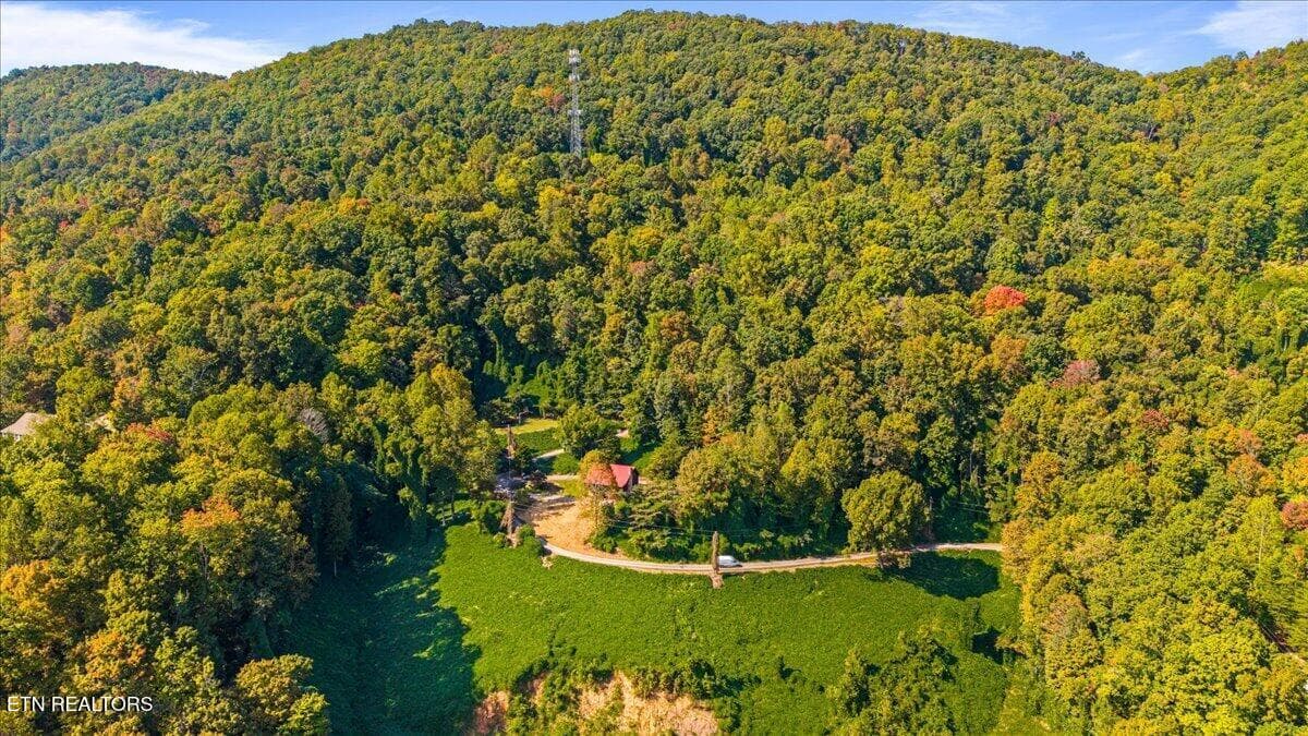 09-342 Big Springs Ln - 342 Big Springs Lane, Jacksboro, TN 37757