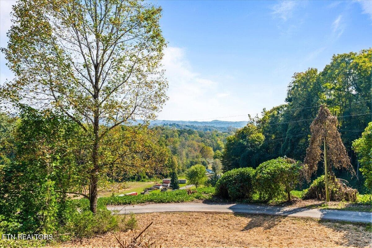 13-342 Big Springs Ln - 342 Big Springs Lane, Jacksboro, TN 37757