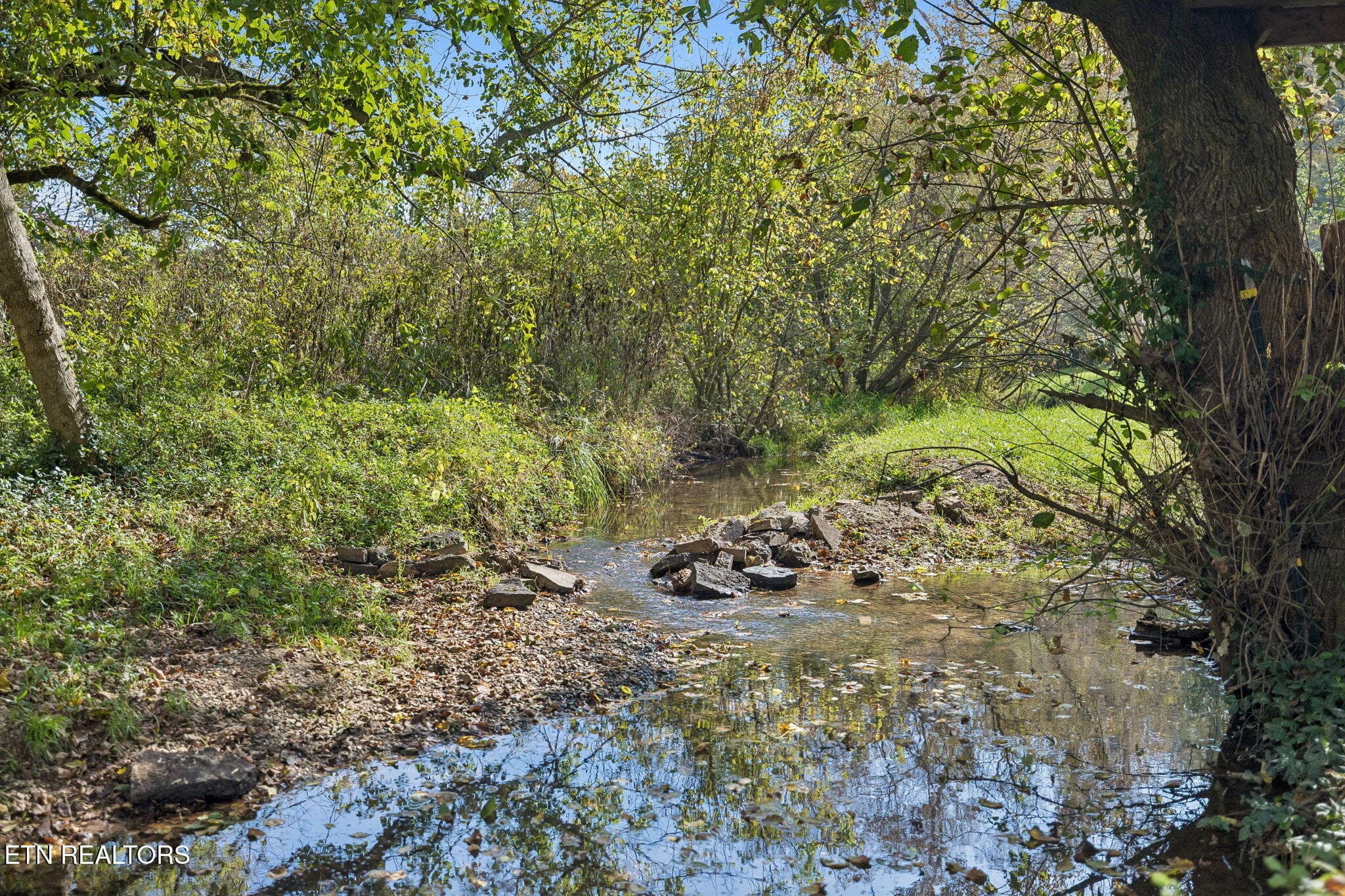 Dotson Creek - 3134 Highway 131, Washburn, TN 37888, Washburn