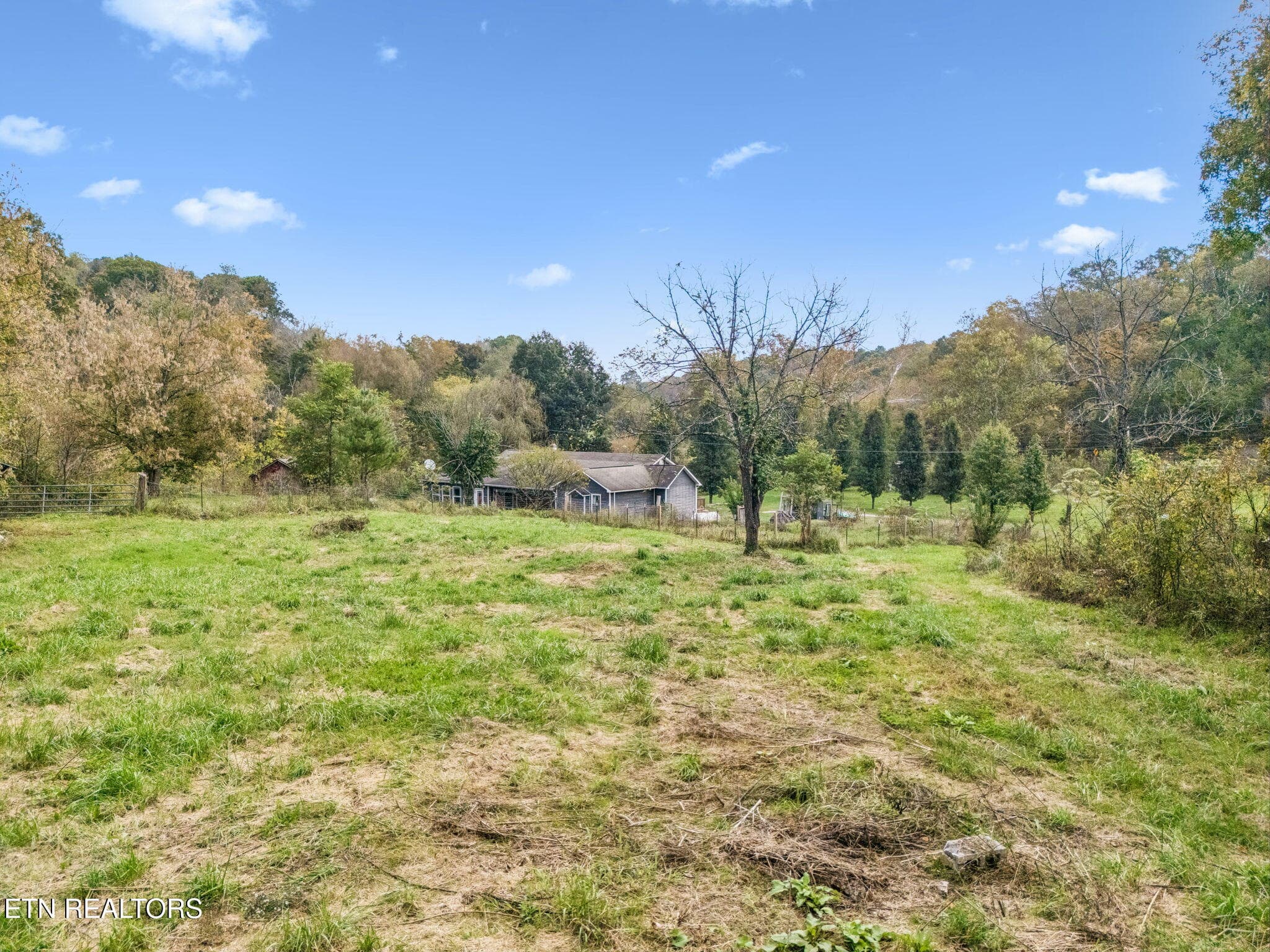Side yard - 3134 Highway 131, Washburn, TN 37888, Washburn