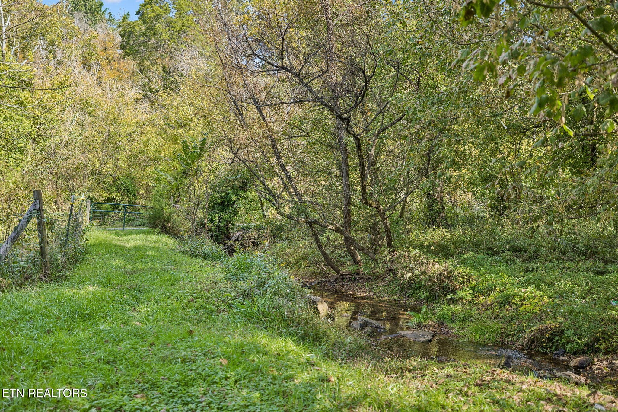 Dotson Creek - 3134 Highway 131, Washburn, TN 37888, Washburn