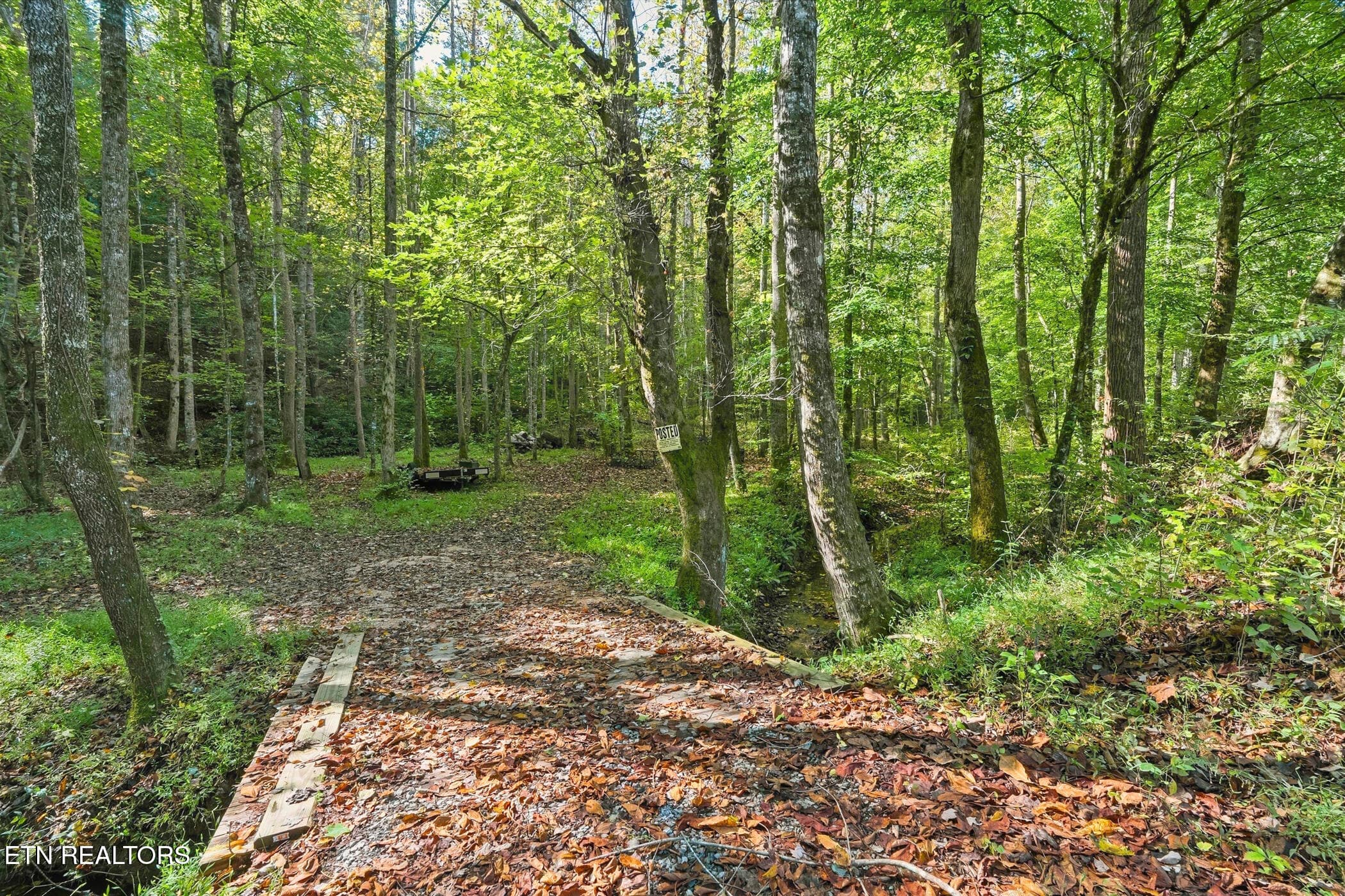 dsc04257 - 1540 Licking Spring Way, Sevierville, TN 37876, Sevierville