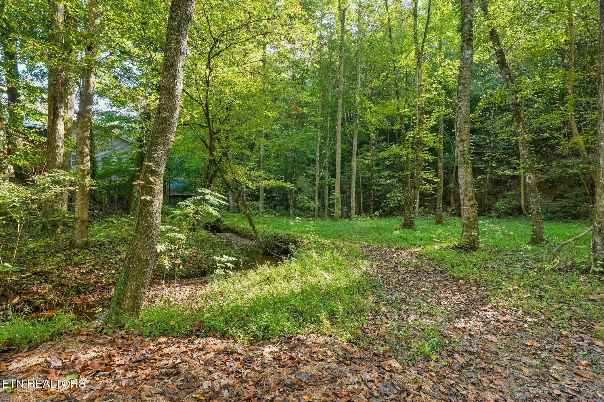 dsc04262 - 1540 Licking Spring Way, Sevierville, TN 37876, Sevierville