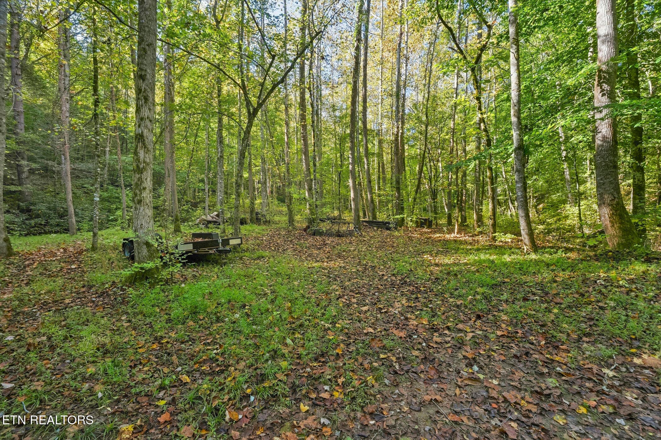 dsc04267 - 1540 Licking Spring Way, Sevierville, TN 37876, Sevierville