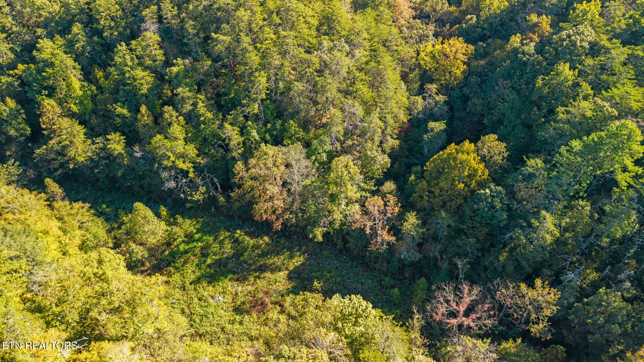 dji_20261014111444_0455_d - 1540 Licking Spring Way, Sevierville, TN 37876, Sevierville