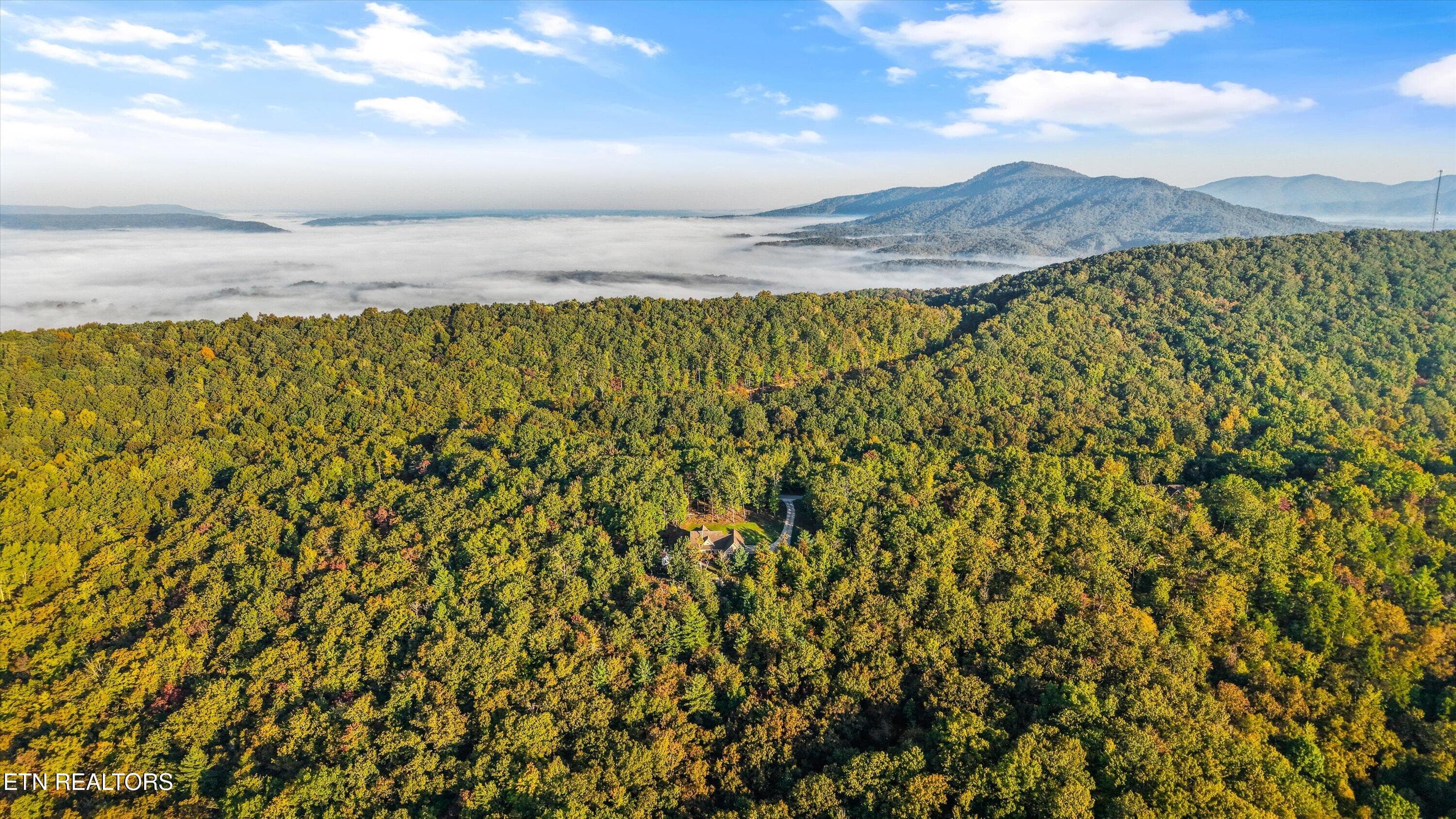 58-1007 Green Rdg Trl 11400 60 - 1007 Green Ridge Tr, Harriman, TN 37748