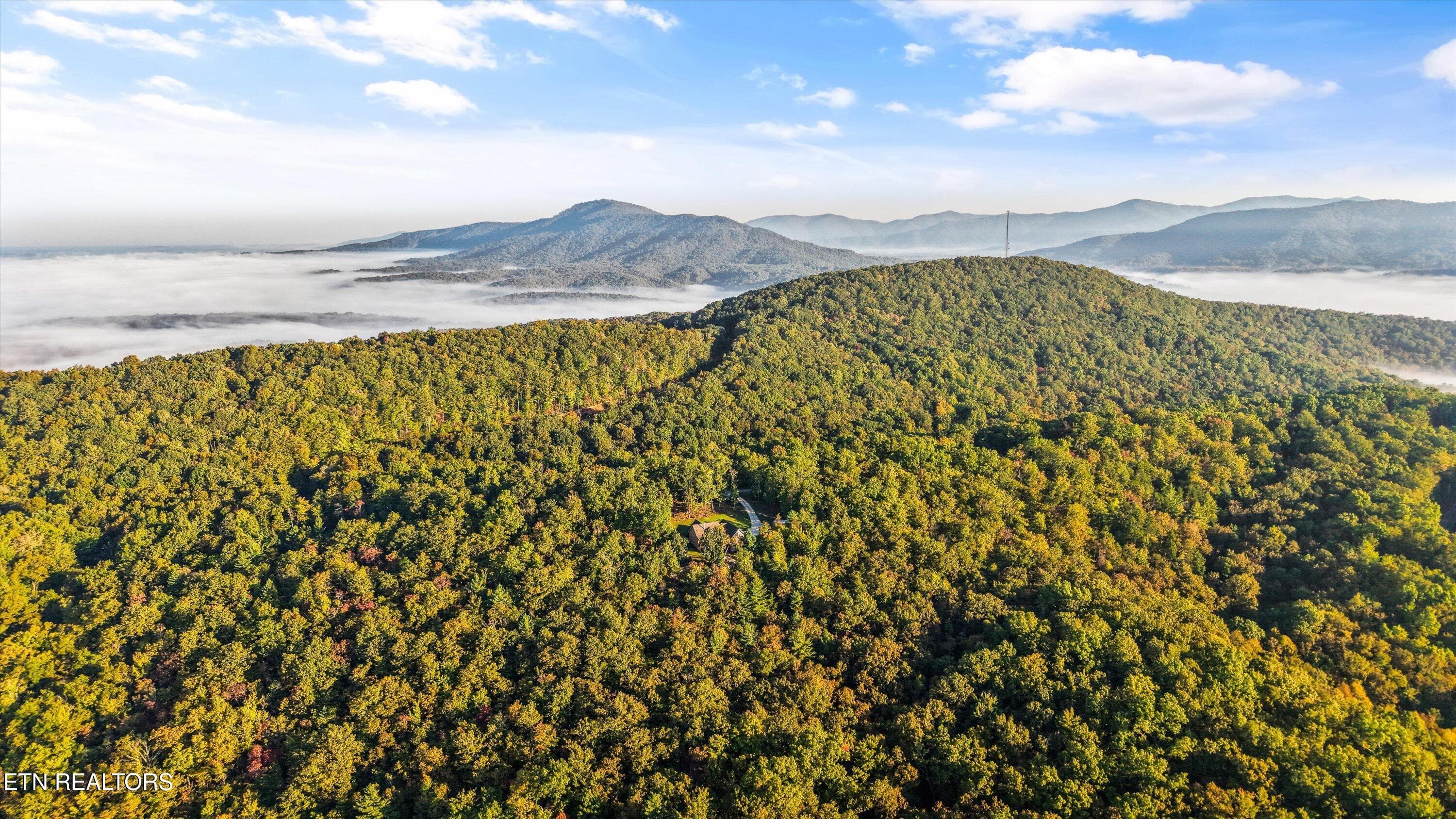 59-1007 Green Rdg Trl 11400 61 - 1007 Green Ridge Tr, Harriman, TN 37748