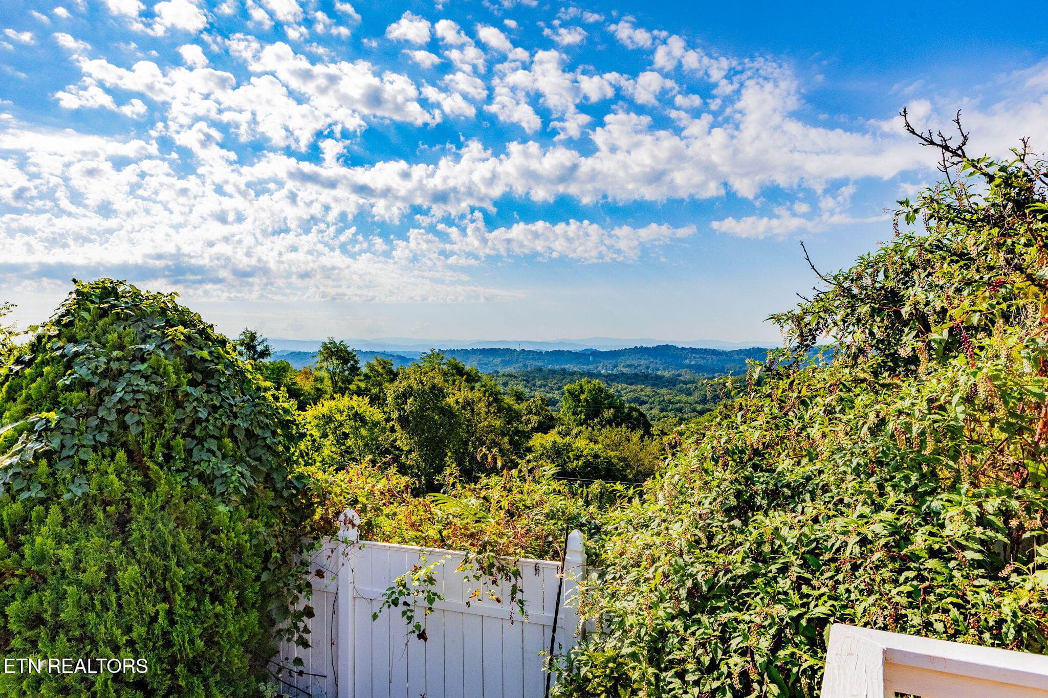 99-web-or-mls-3F1A9416-HDR - 524 View Park Drive, Knoxville, TN 37920, Knoxville