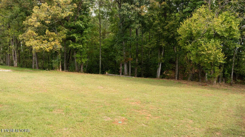 DJI_0344 - 922 Sophie Drive, Greenback, TN 37742, Greenback