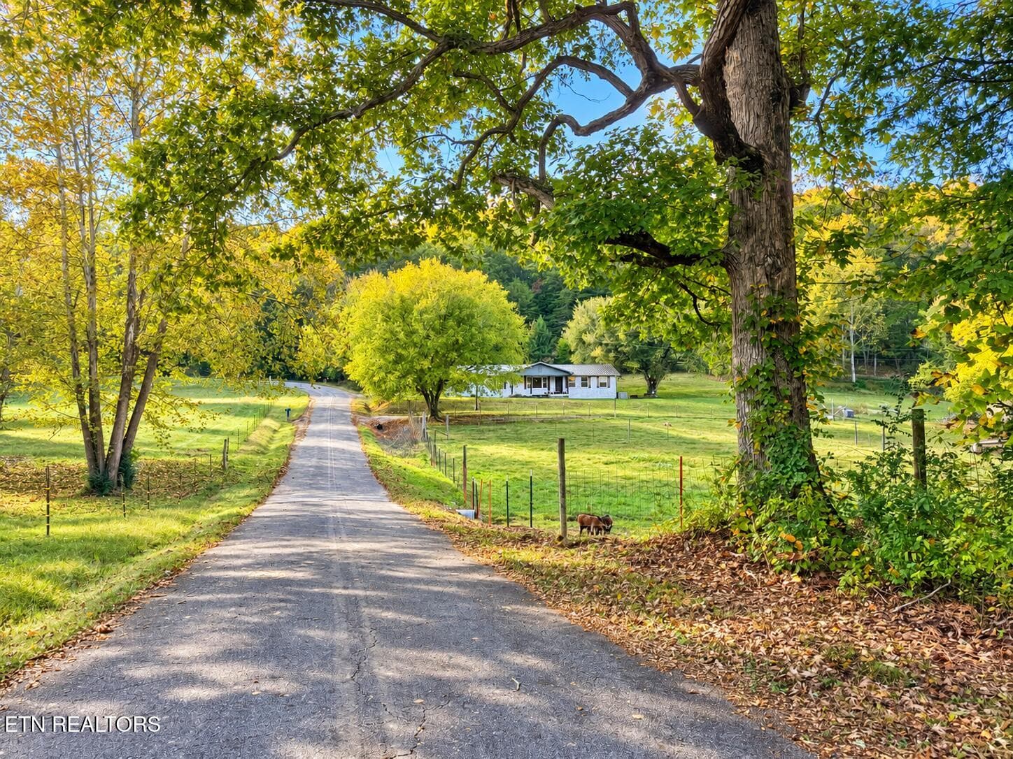 146 Main Hollow Road - 146 Main Hollow Rd, Philadelphia, TN 37846