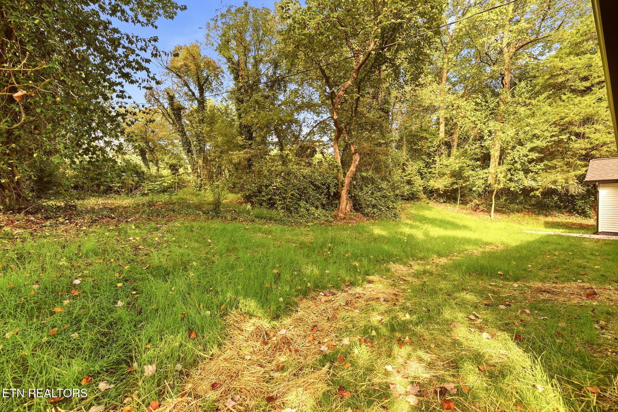 29-web-or-mls-FrstVw605 (29) - 605 Forest View Rd, Knoxville, TN 37919