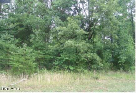 Road View of Lot/Land Tax Records - Bradford Village Way Lot 40, Kingston, TN 37763, Kingston