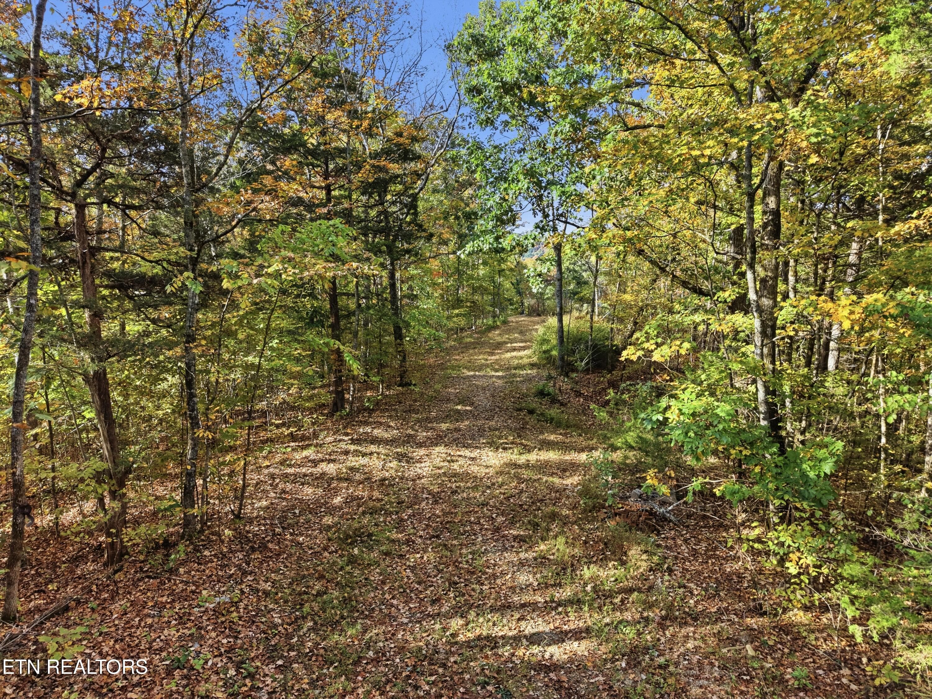0_Bohart_Ln_011 - 100 Bohart Lane, Byrdstown, TN 38549