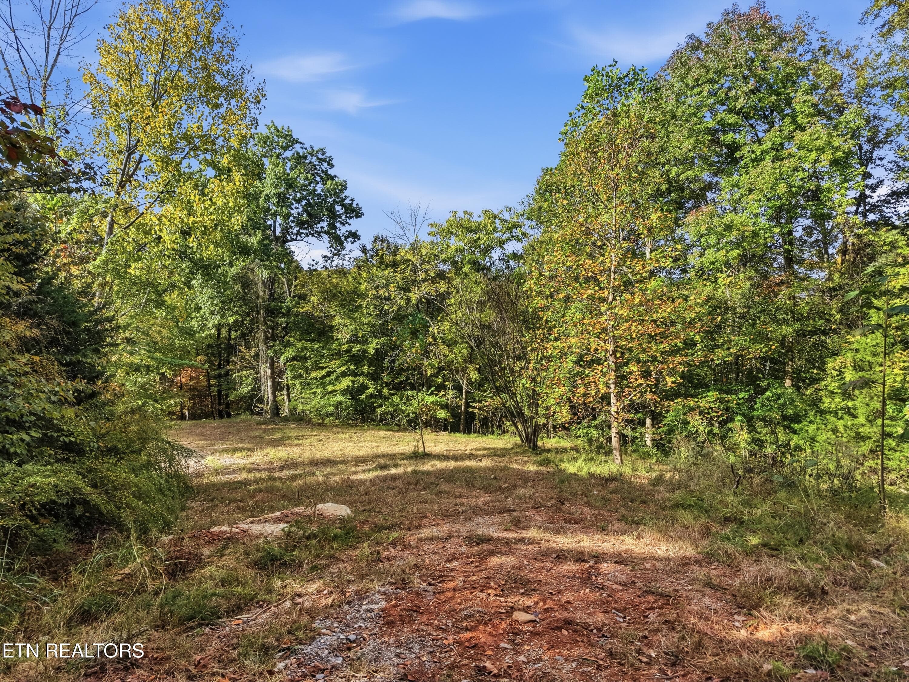 0_Bohart_Ln_012 - 100 Bohart Lane, Byrdstown, TN 38549