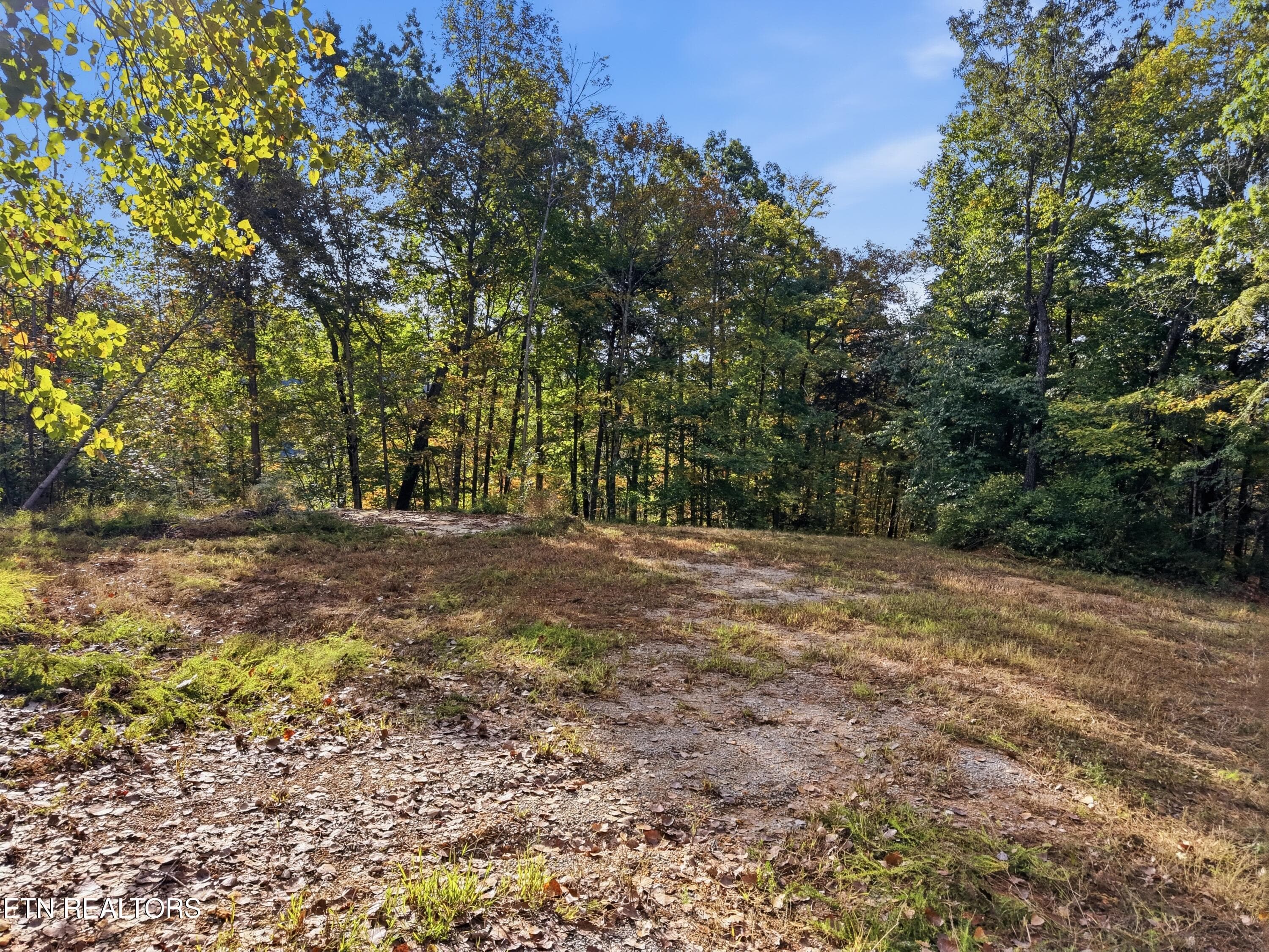 0_Bohart_Ln_013 - 100 Bohart Lane, Byrdstown, TN 38549