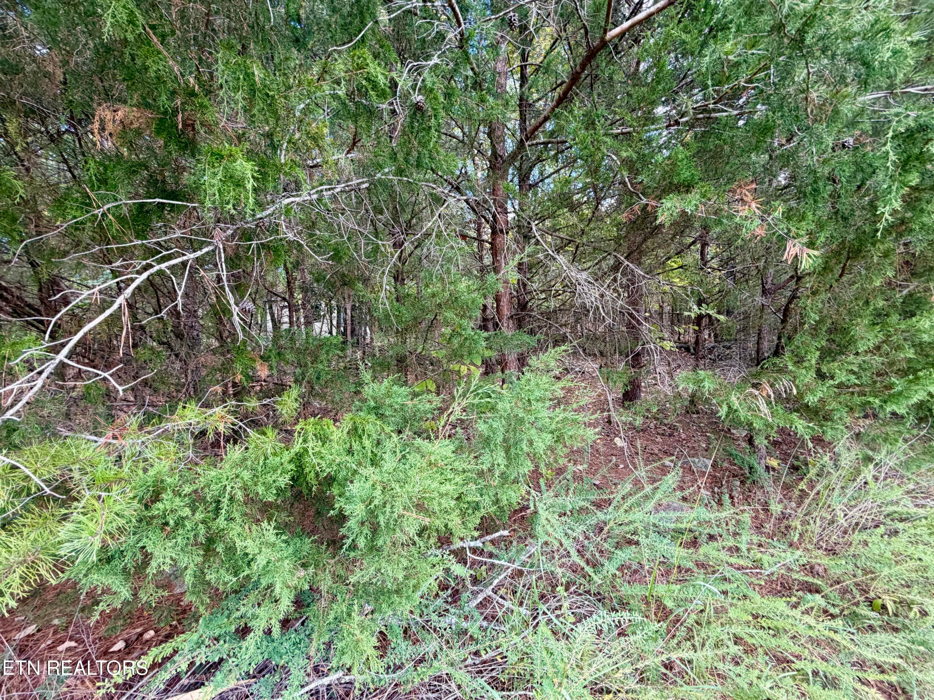 Interior View - Bradford Village Way Lot 40, Kingston, TN 37763, Kingston