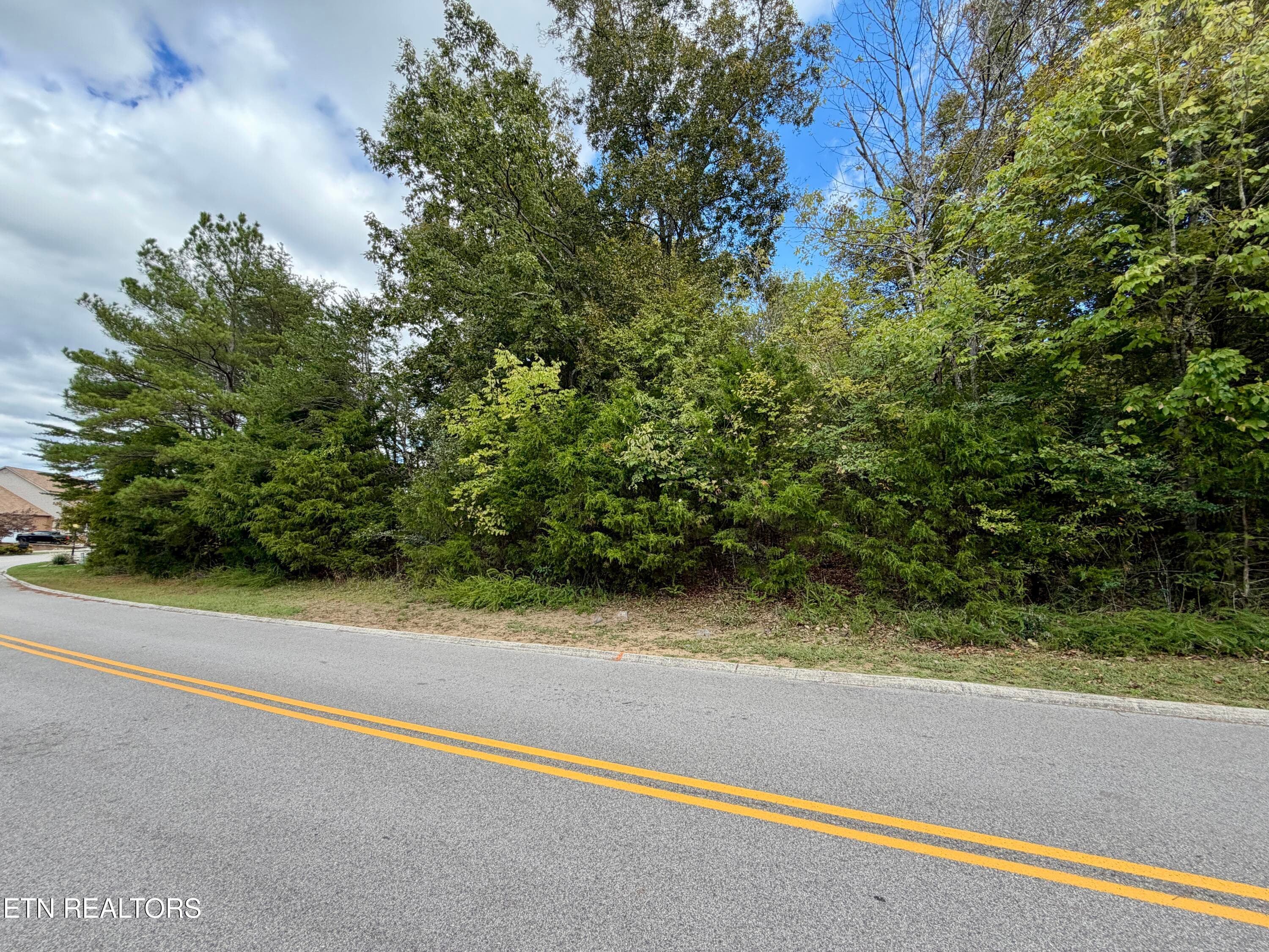 Road View - Bradford Village Way Lot 40, Kingston, TN 37763, Kingston