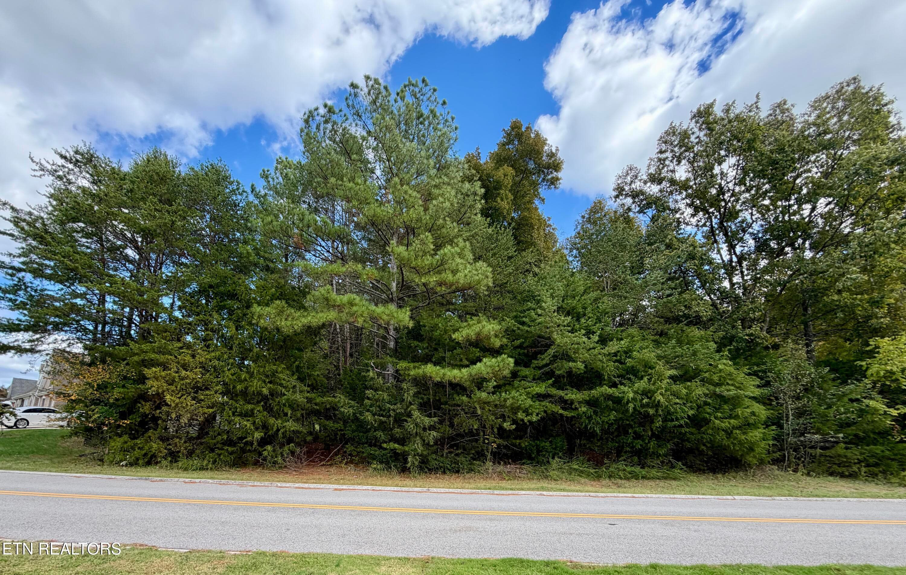 Road view - Bradford Village Way Lot 40, Kingston, TN 37763, Kingston