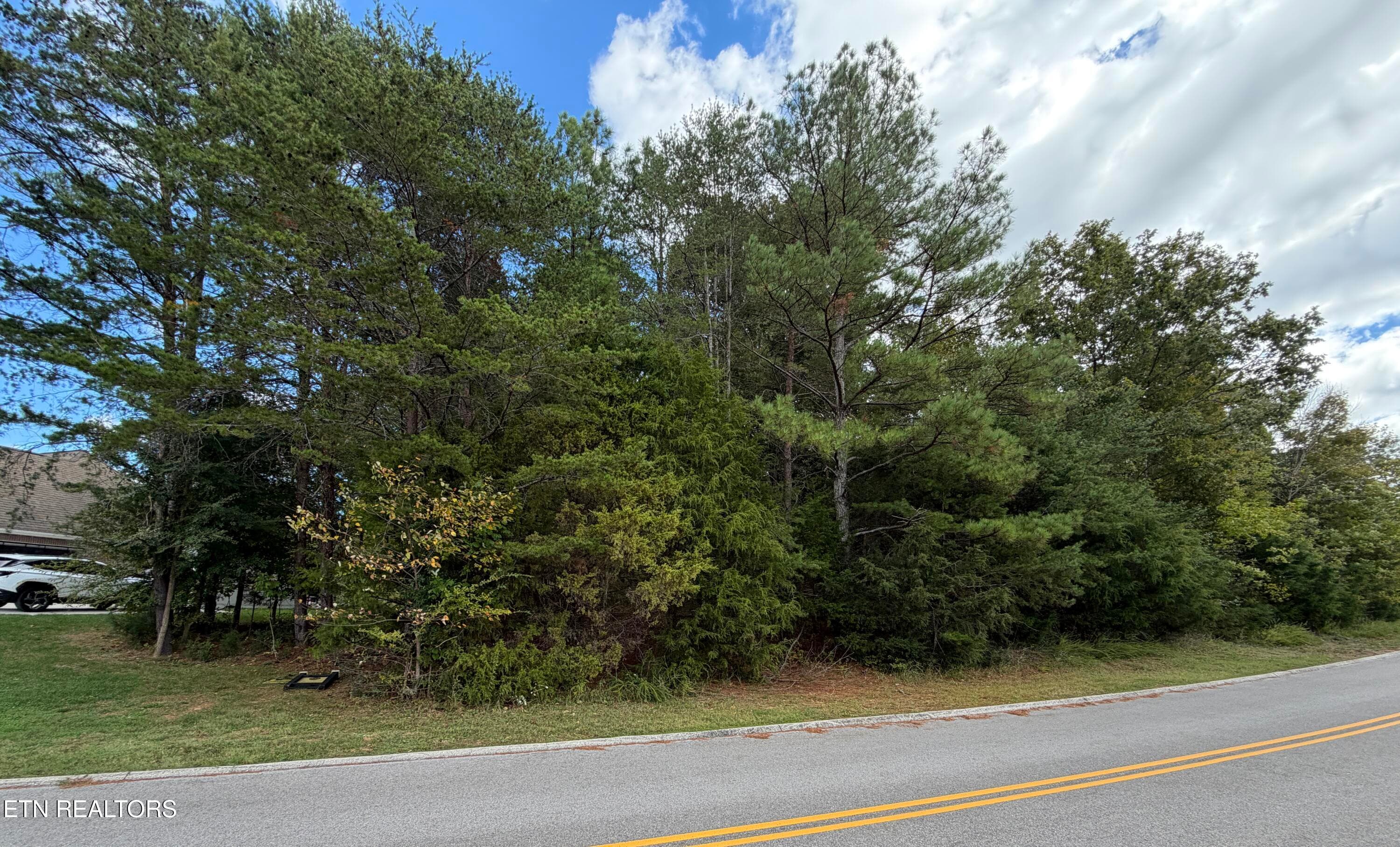 Road View - Bradford Village Way Lot 40, Kingston, TN 37763, Kingston
