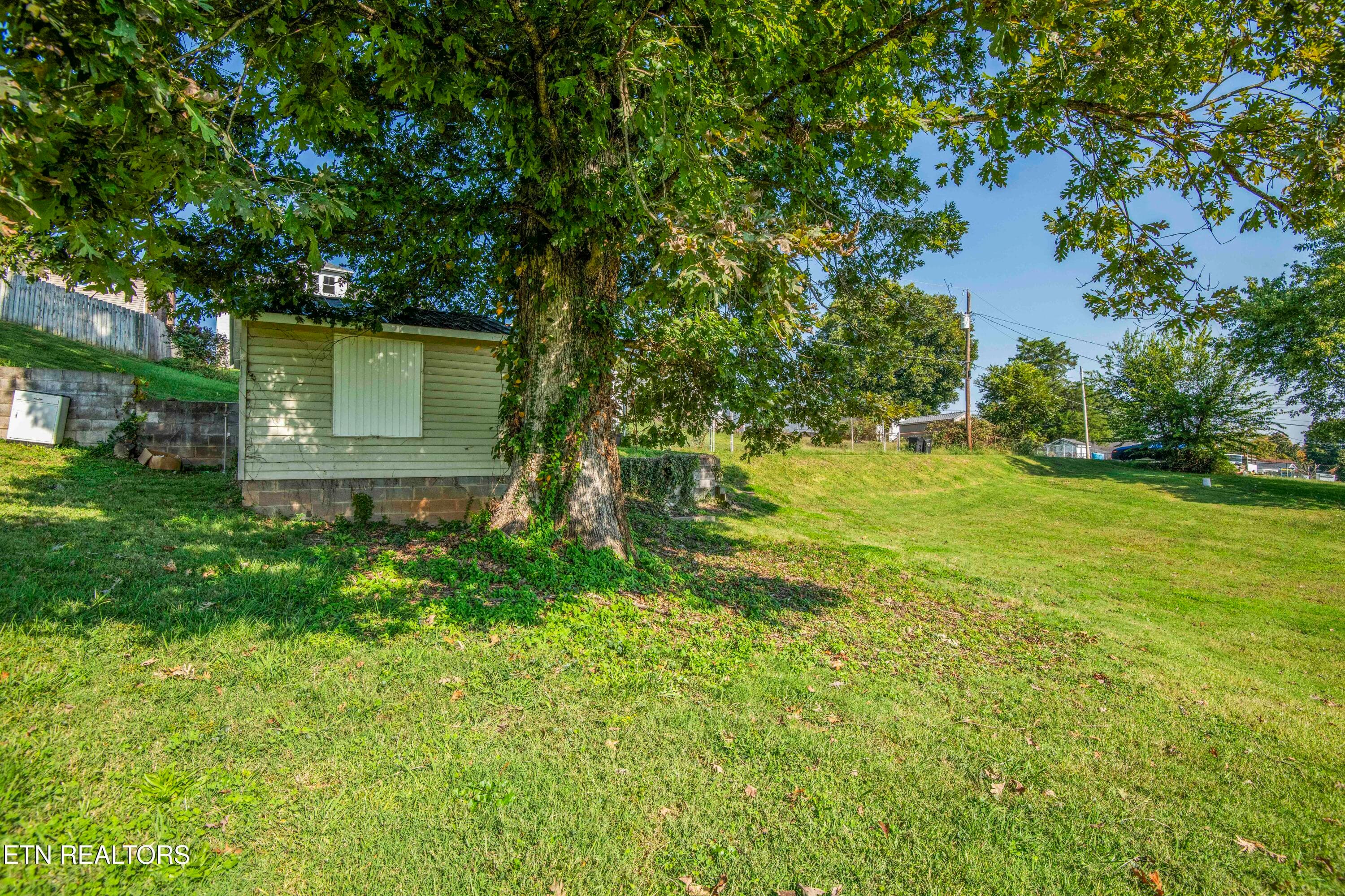 yard 4_1 - 509 W 3rd Ave, Lenoir City, TN 37771, Lenoir City