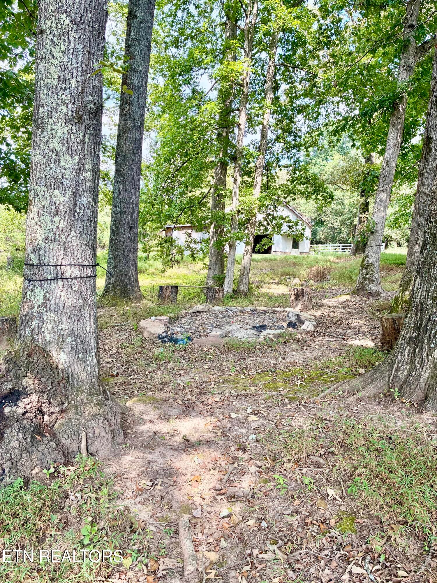IMG_1572 - 7803 Lucky Lane, Corryton, TN 37721
