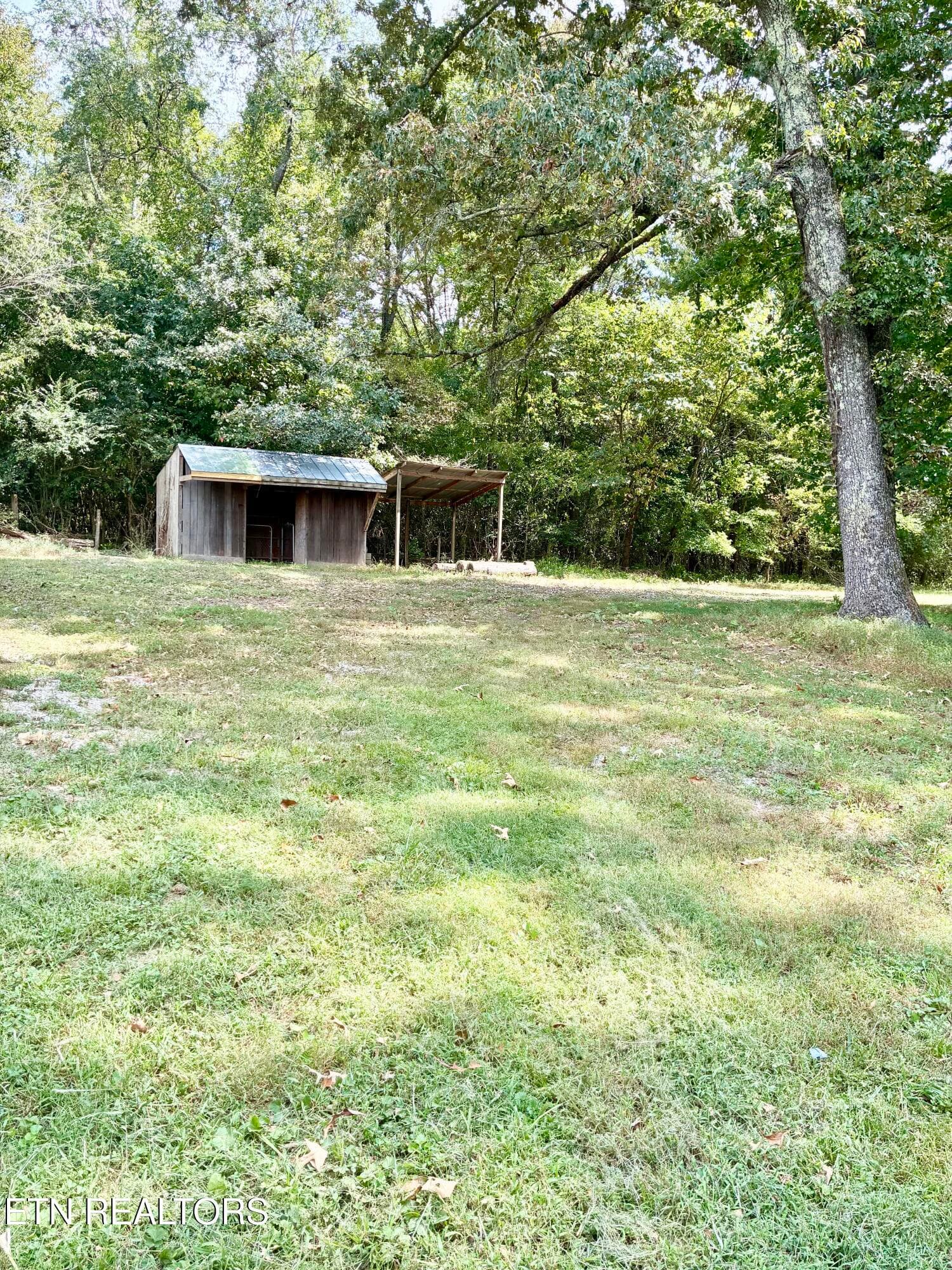 IMG_1578 - 7803 Lucky Lane, Corryton, TN 37721