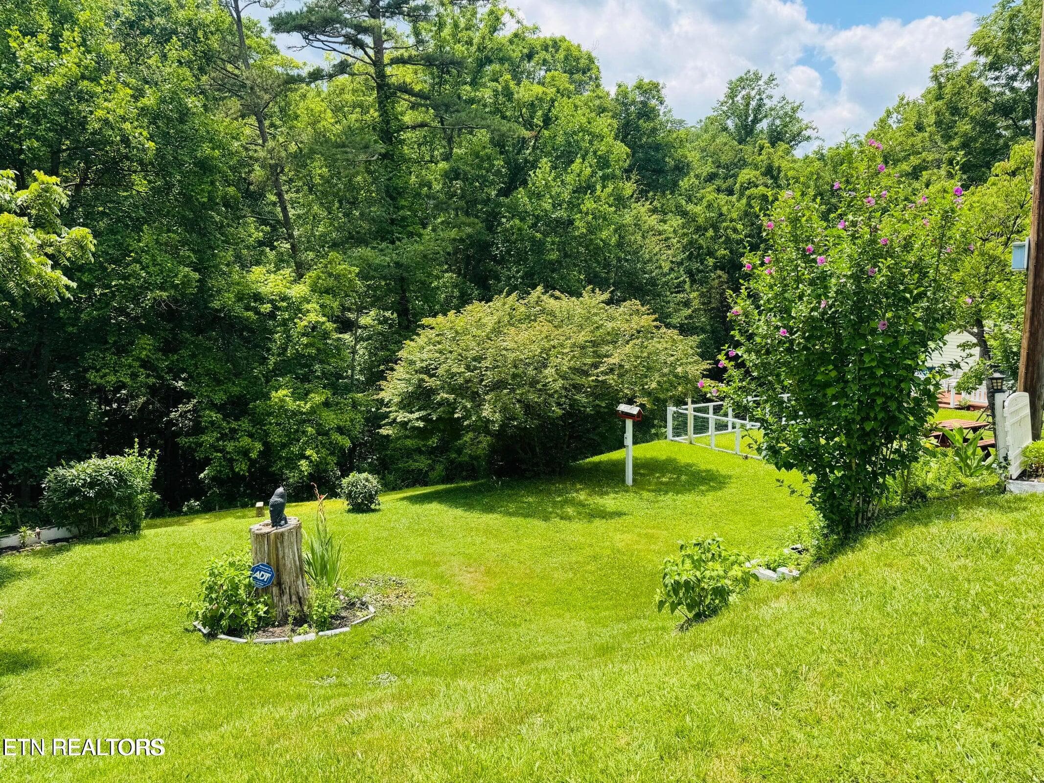 IMG_1068 - 681 Island Cove Rd, Rocky Top, TN 37769, Rocky Top