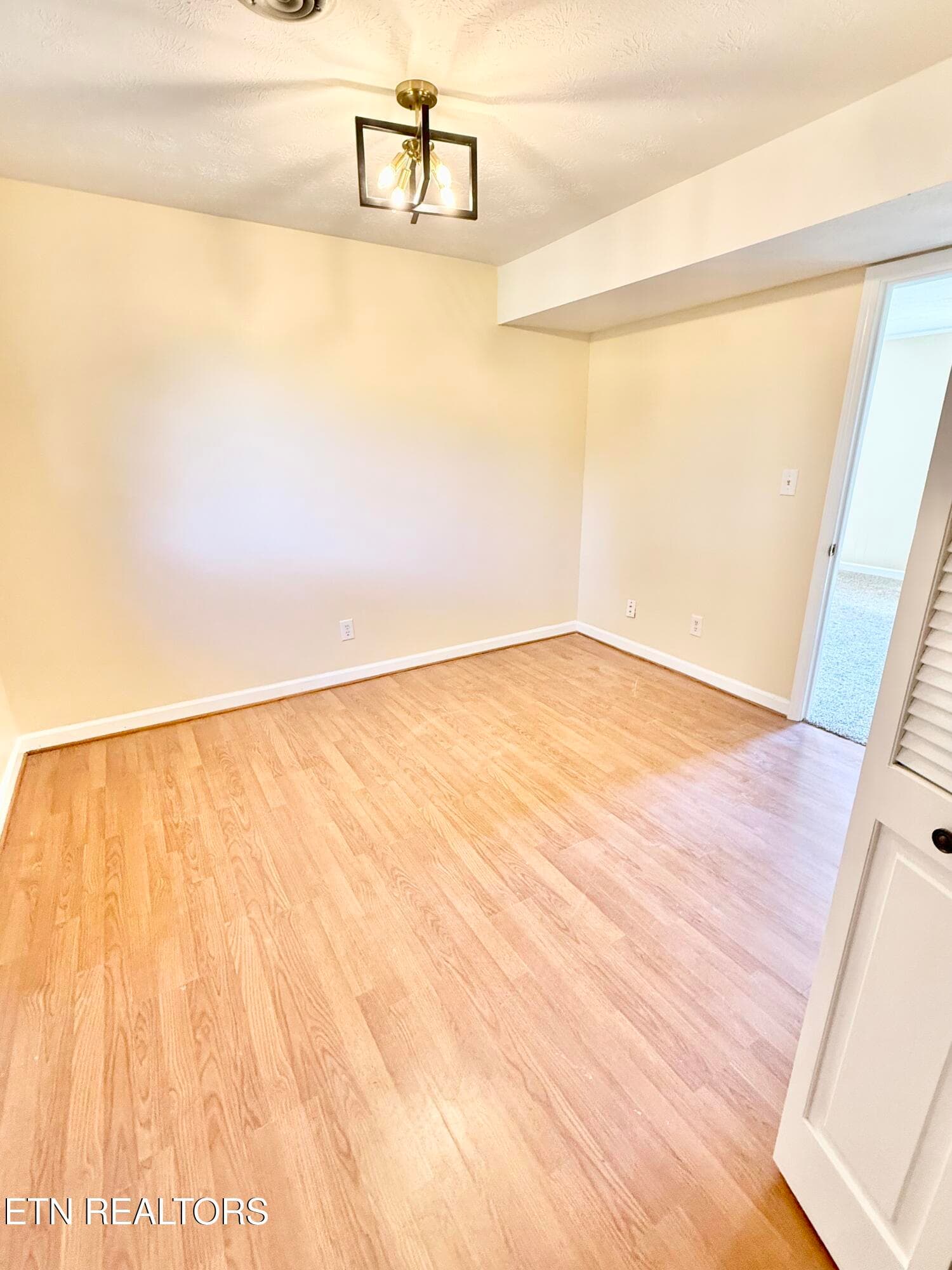Downstairs bedroom - 7803 Lucky Lane, Corryton, TN 37721