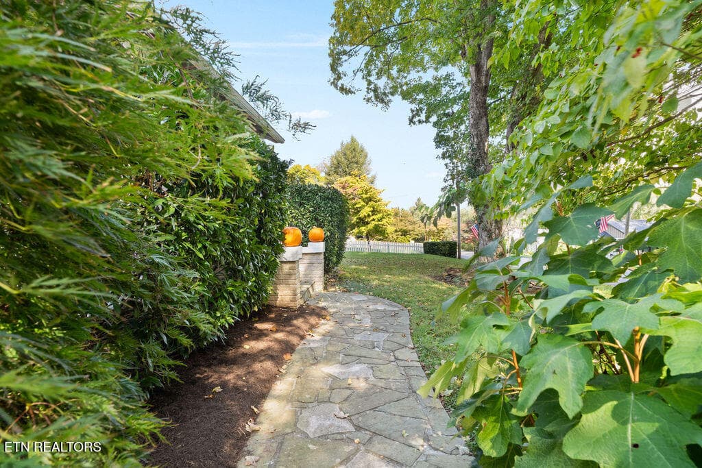 DSC09718 - 1117 Craig Rd, Knoxville, TN 37919