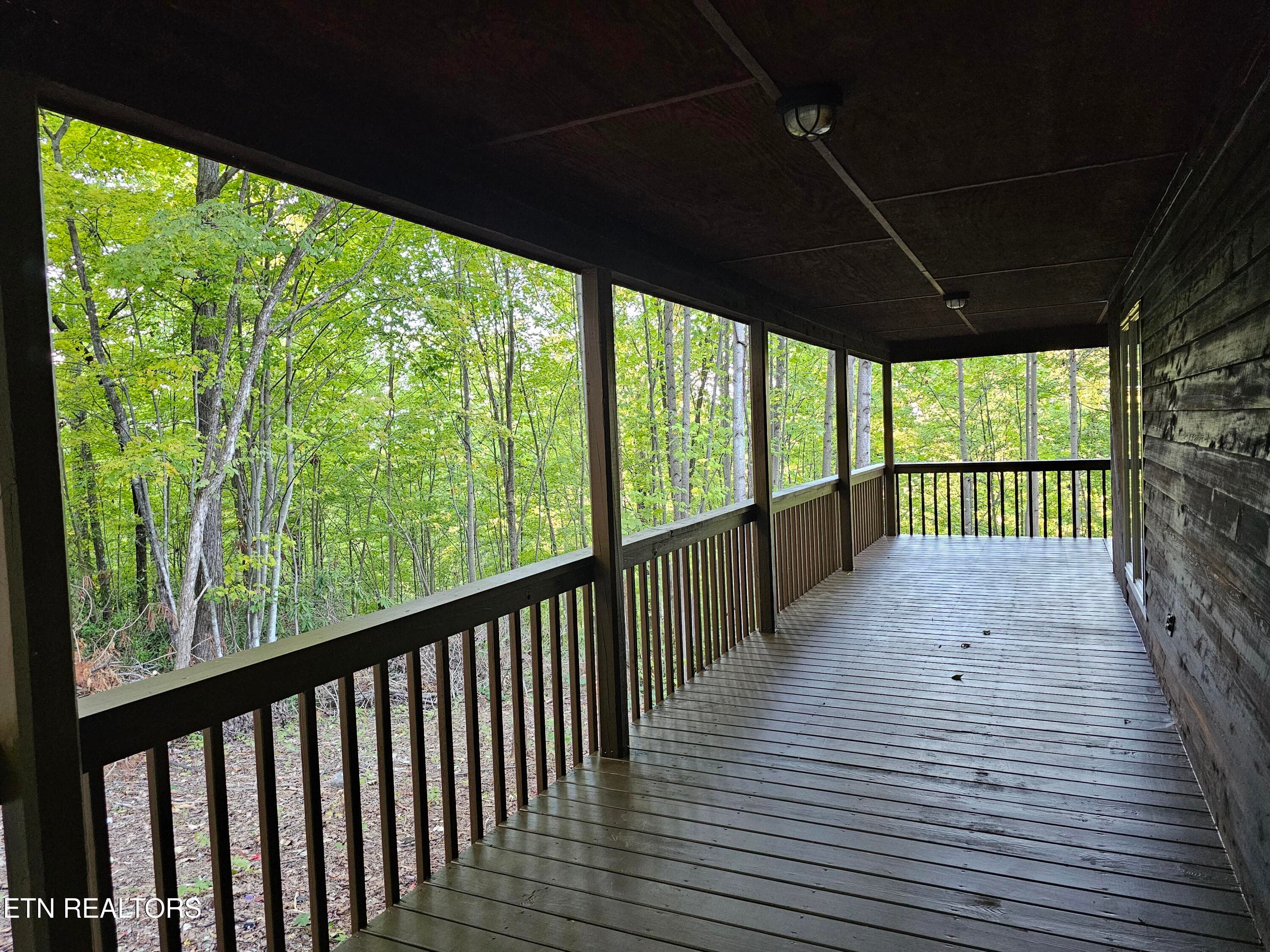 20261014_171618 - 3505 Rocky Ridge Rd, Cosby, TN 37722, Cosby