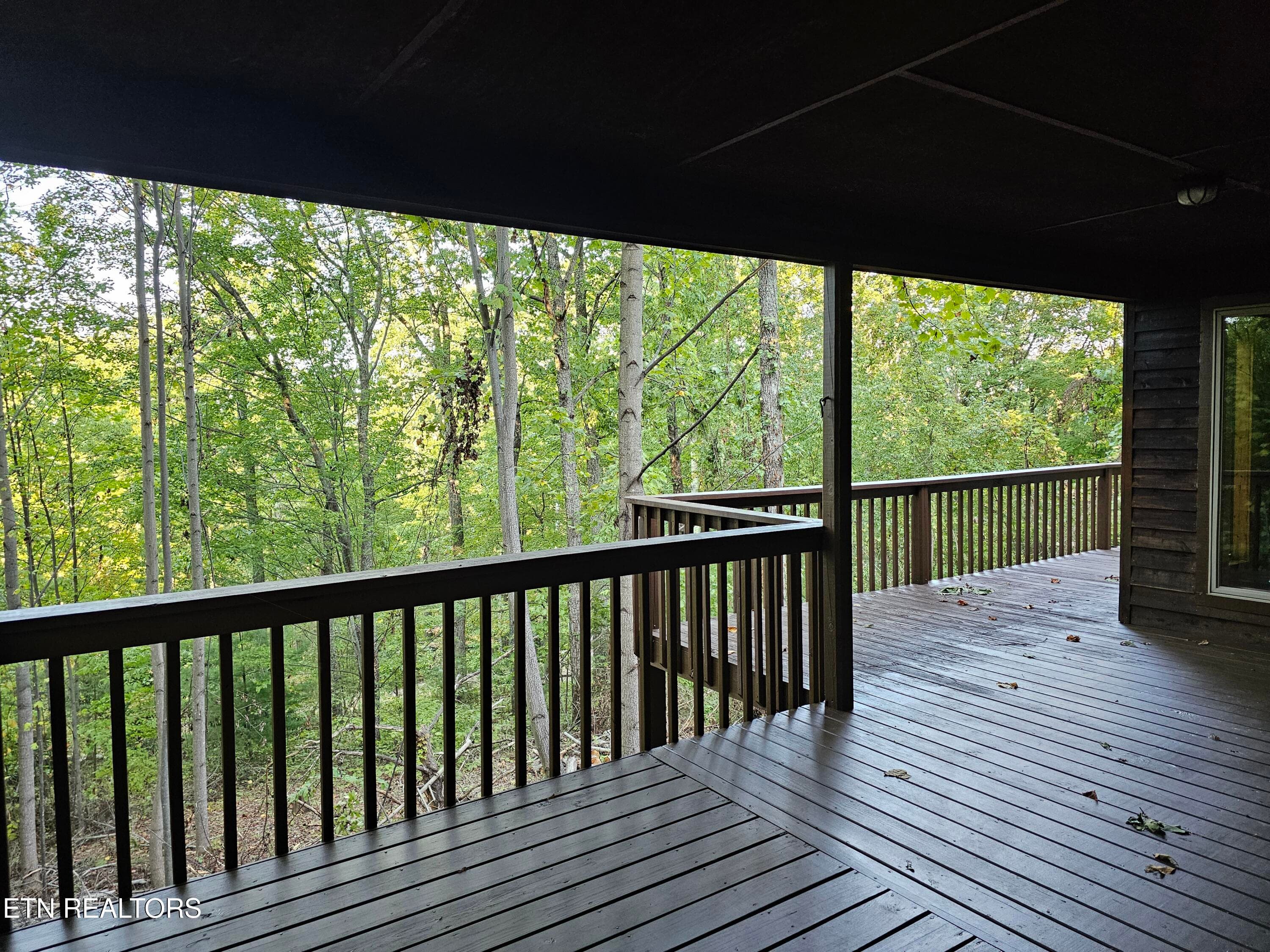 20261014_171631 - 3505 Rocky Ridge Rd, Cosby, TN 37722, Cosby