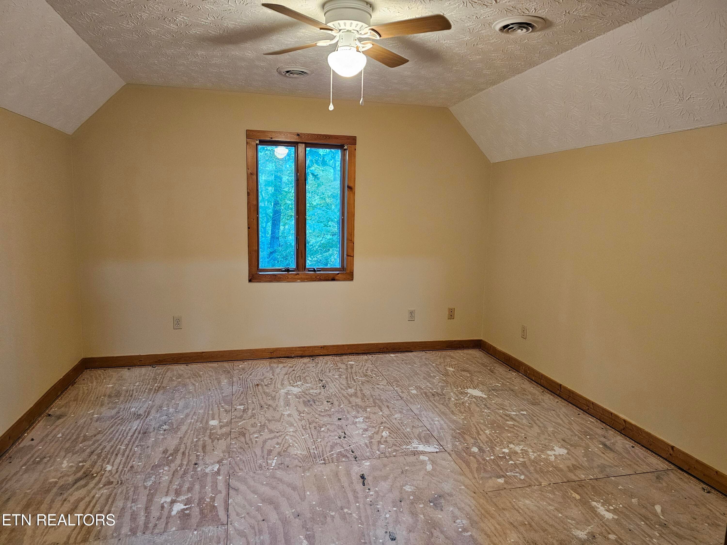 20261014_172511 - 3505 Rocky Ridge Rd, Cosby, TN 37722, Cosby