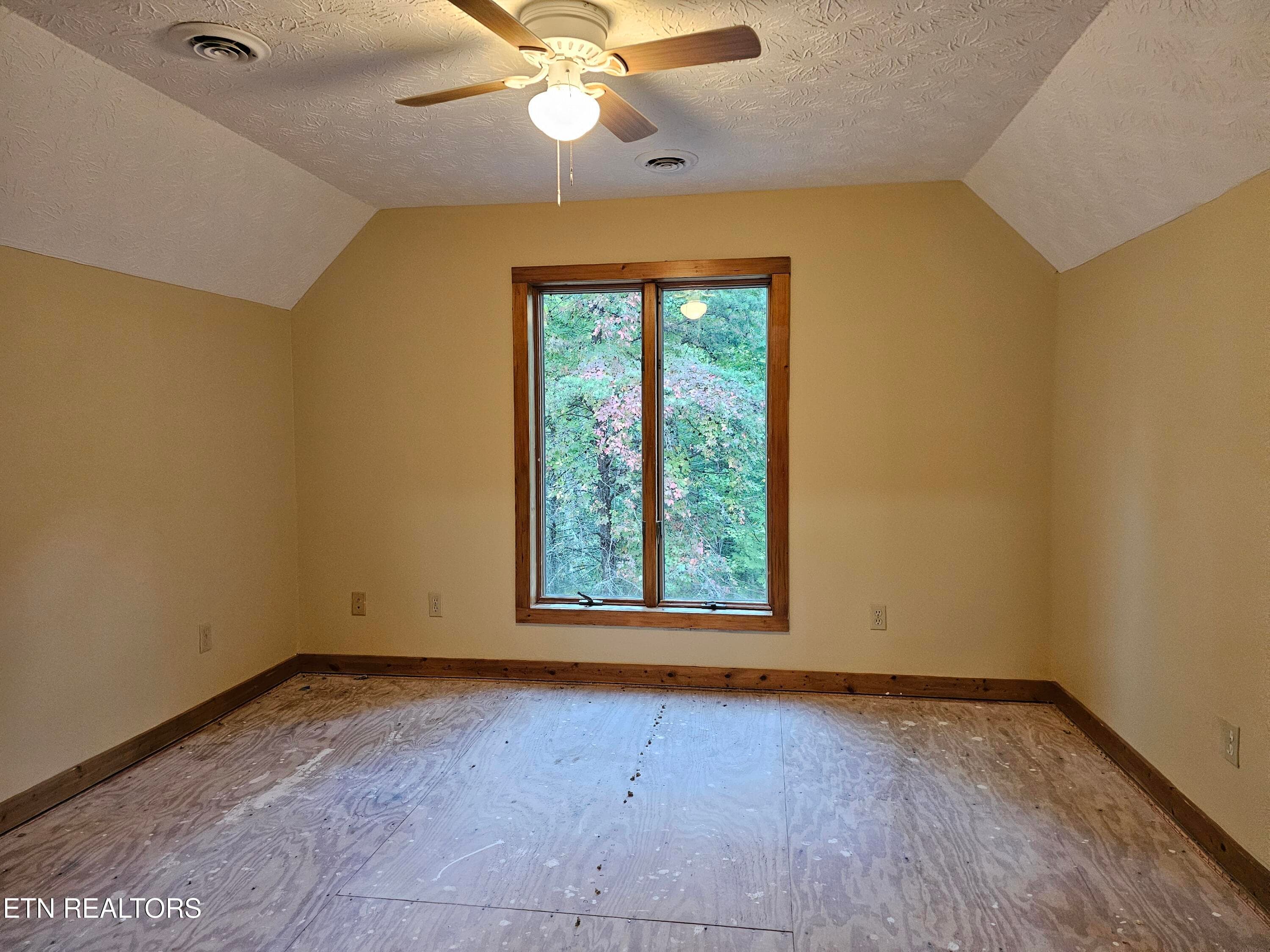 20261014_172552 - 3505 Rocky Ridge Rd, Cosby, TN 37722, Cosby
