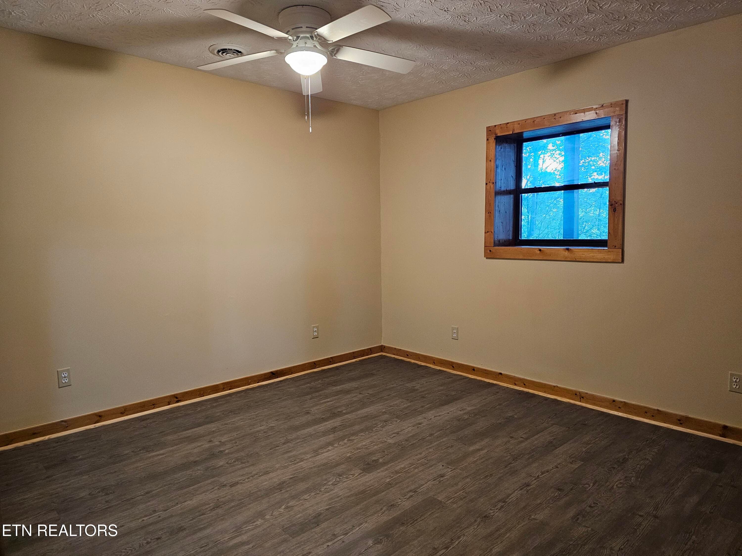 20261014_172849 - 3505 Rocky Ridge Rd, Cosby, TN 37722, Cosby
