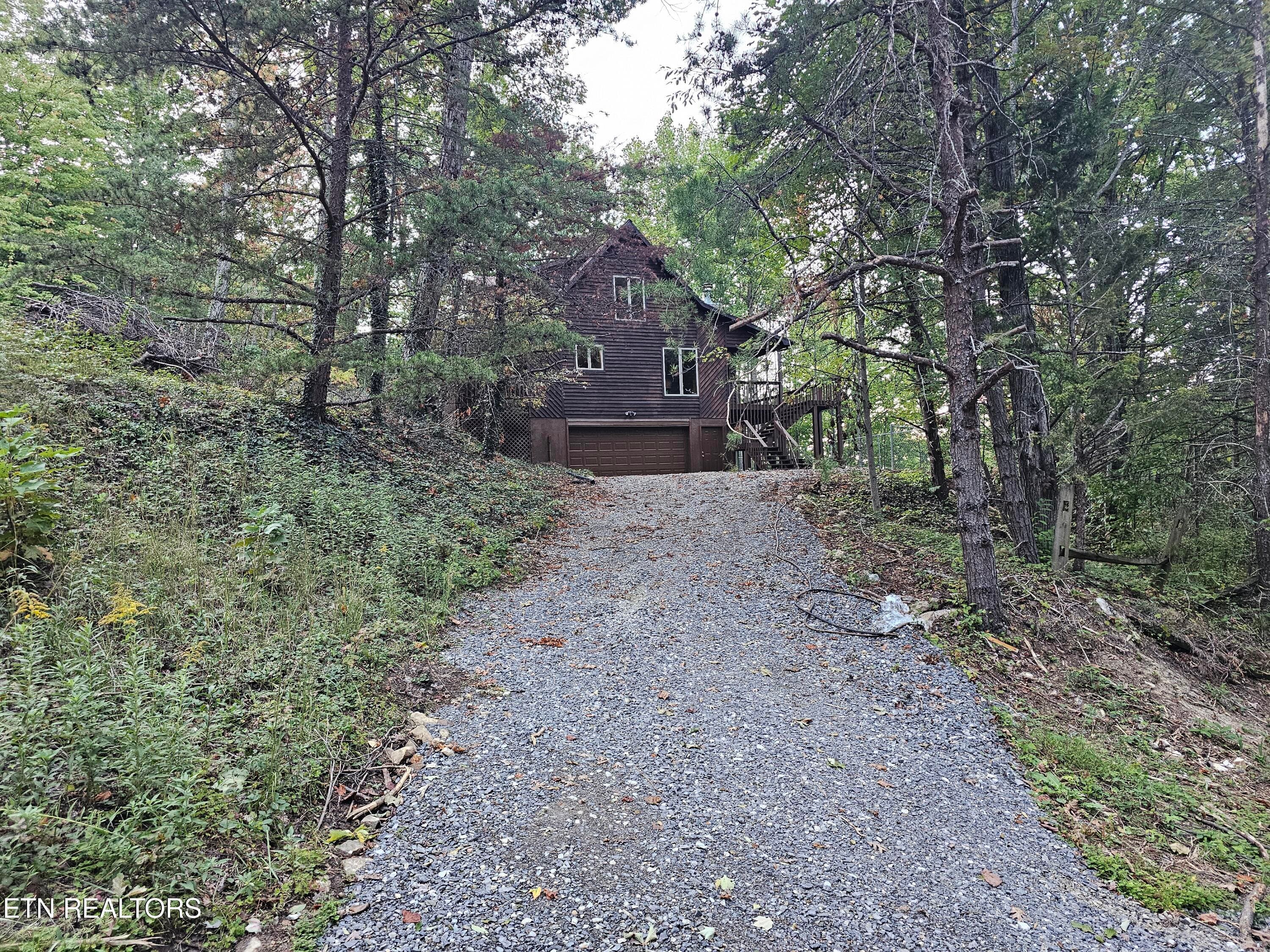 20261014_174426 - 3505 Rocky Ridge Rd, Cosby, TN 37722, Cosby