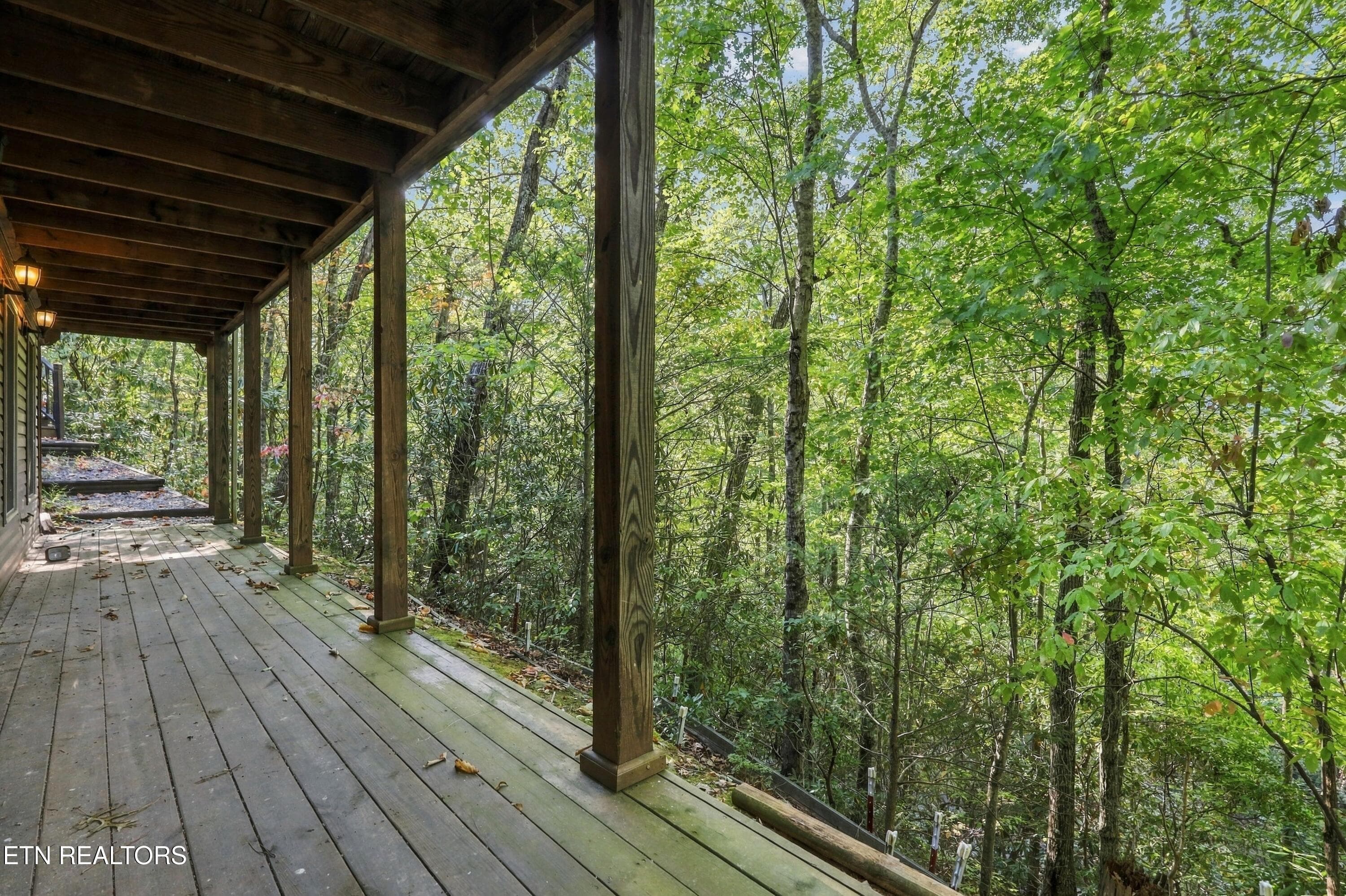 29-029_1I2A2969 - 521 Jefferson Rd, Gatlinburg, TN 37738