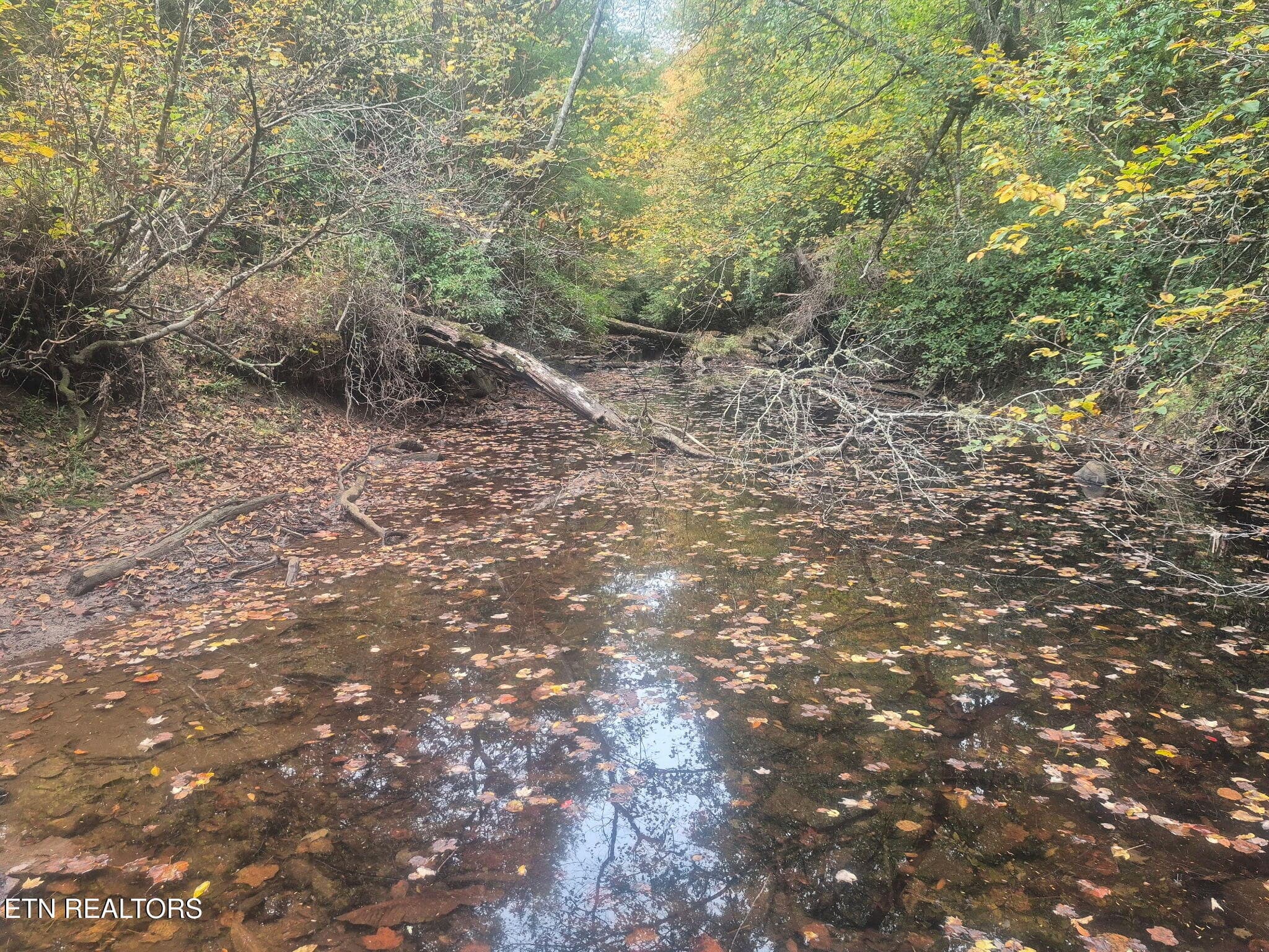 1440486269429852324 - 0 Freedom Ridge Lane, Crossville, TN 38572