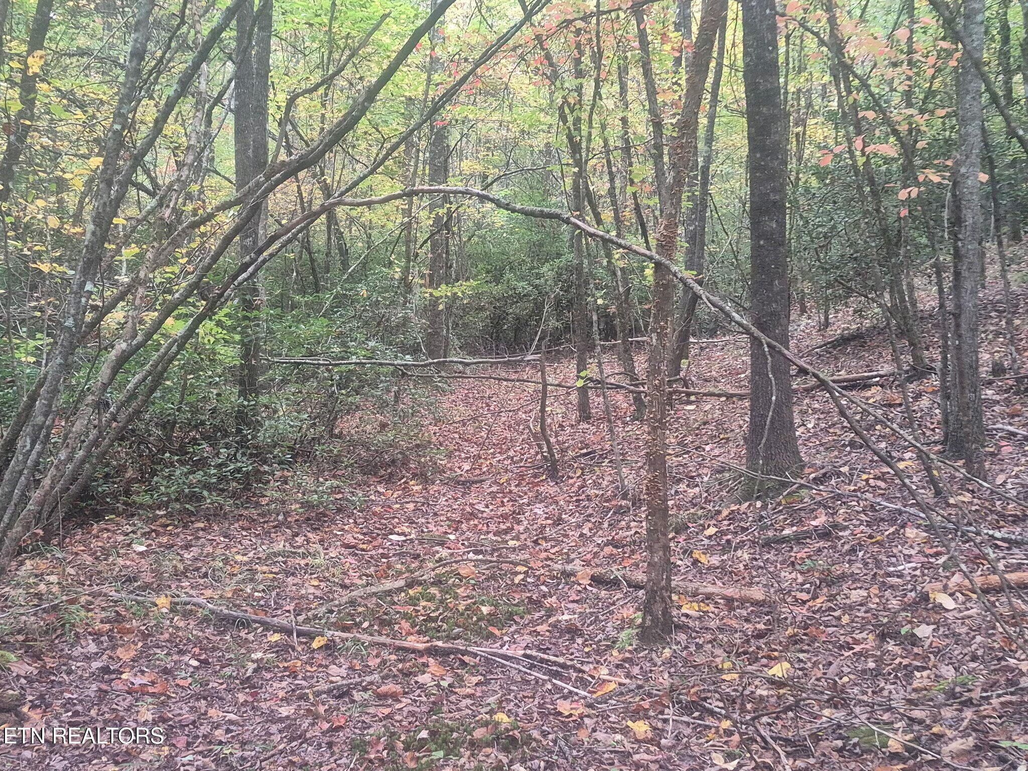 5460793787810031572 - 0 Freedom Ridge Lane, Crossville, TN 38572