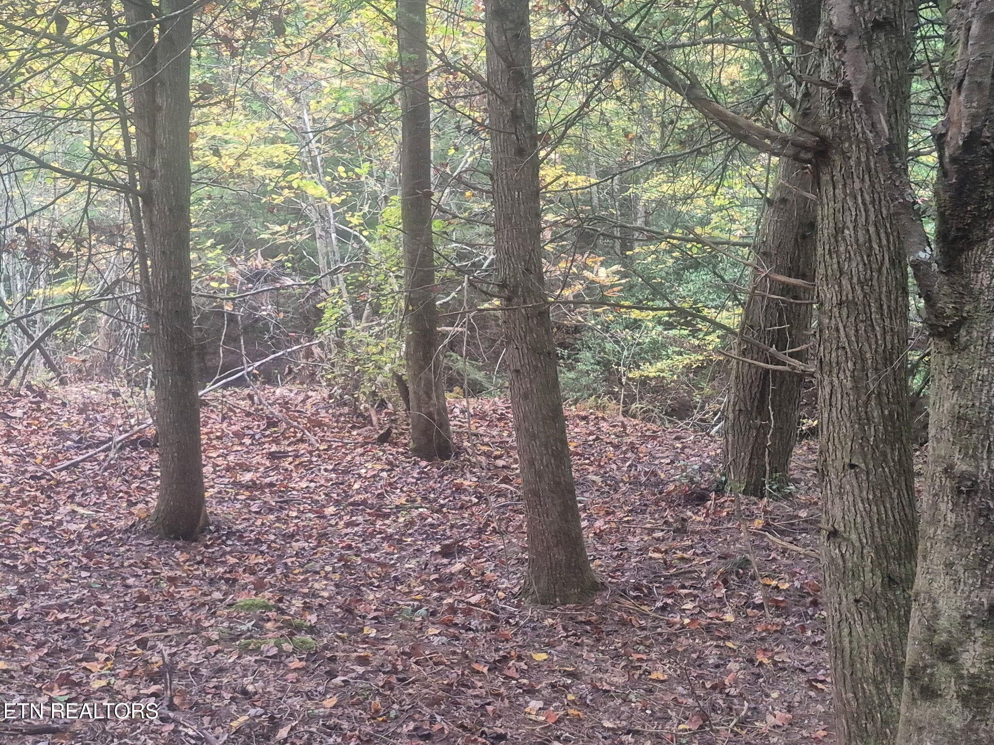 690389014376747253 - 0 Freedom Ridge Lane, Crossville, TN 38572
