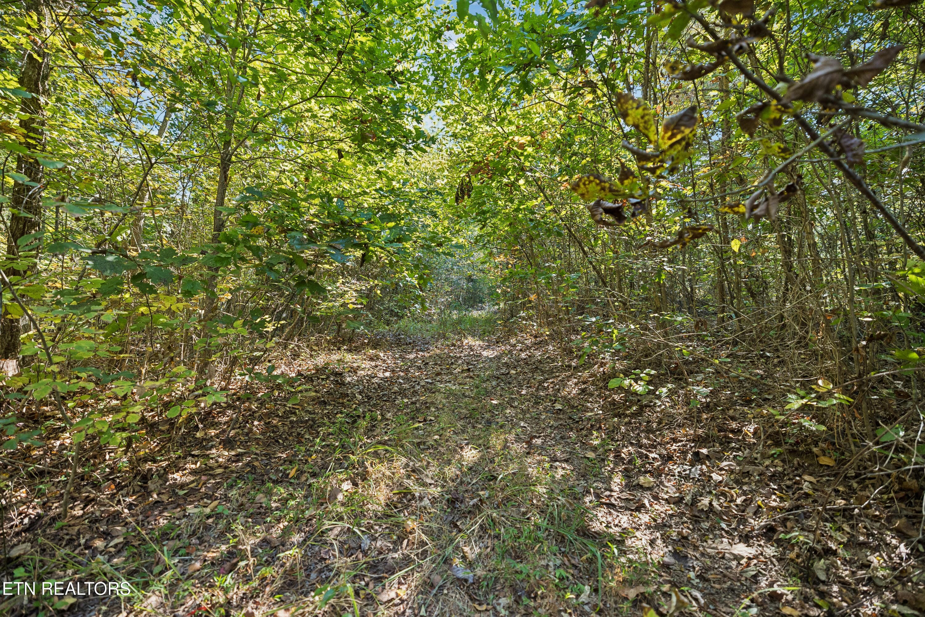 Trails - 432 N Farnum St, Friendsville, TN 37737