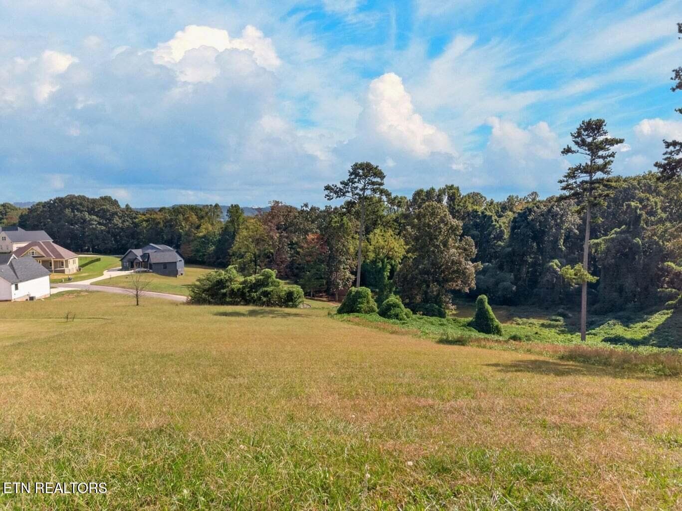 3 - Cow Poke, Rutledge, TN 37861