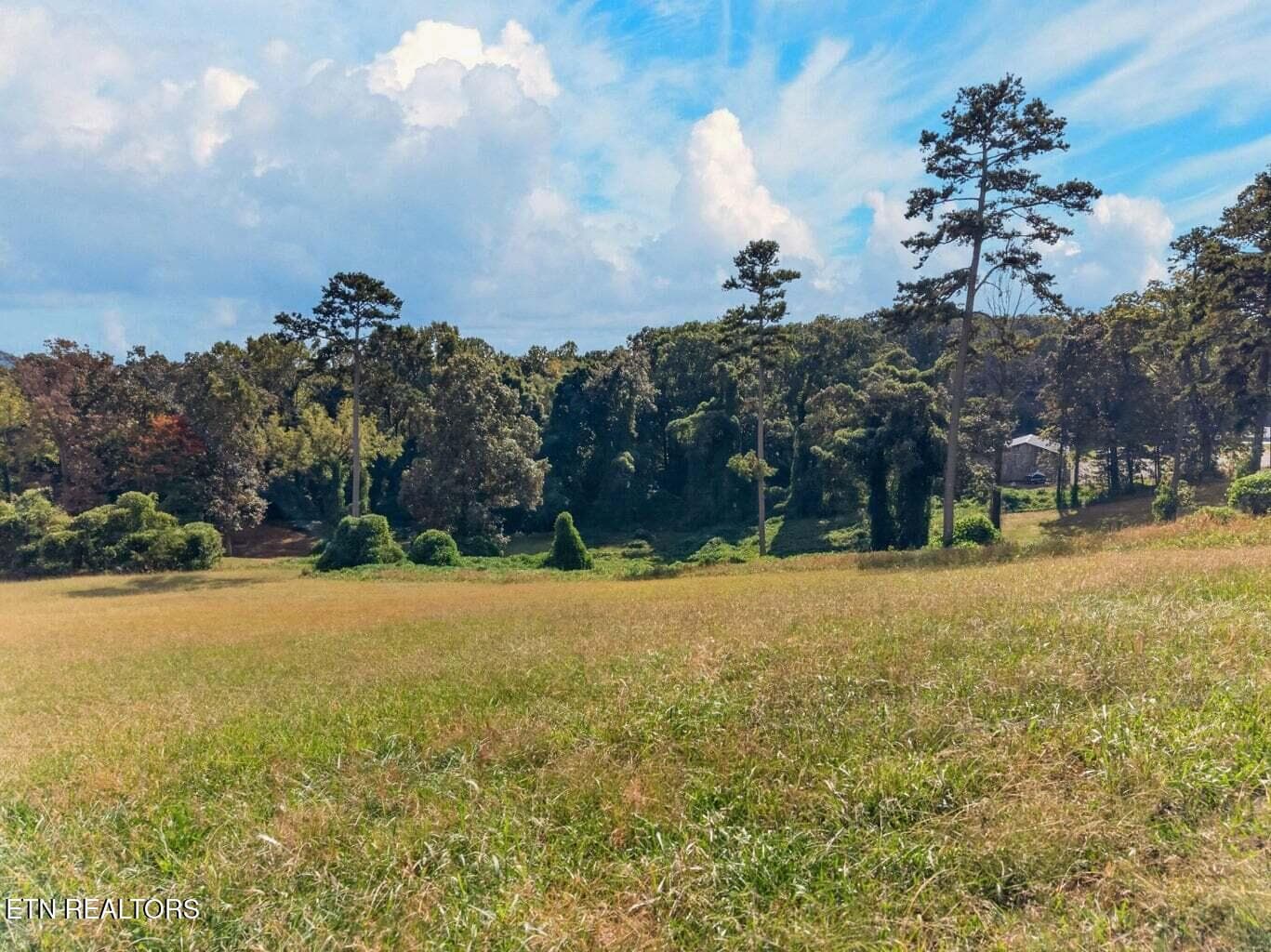 5 - Cow Poke, Rutledge, TN 37861