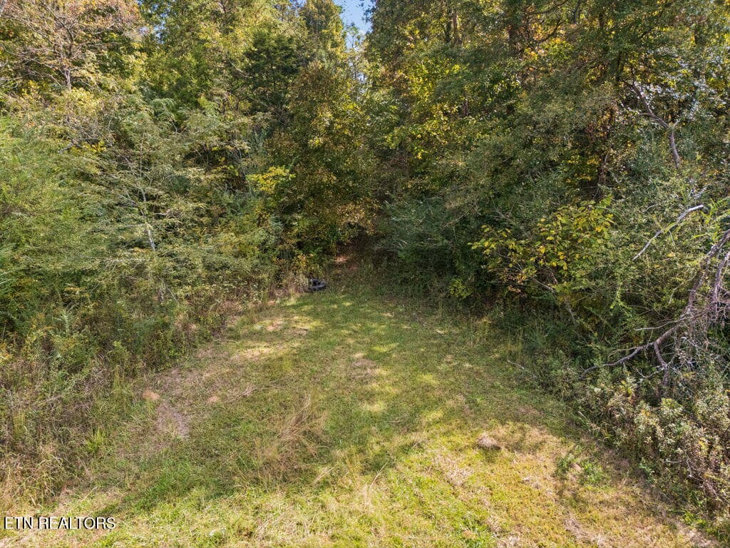 Wooded for Privacy - 432 N Farnum St, Friendsville, TN 37737