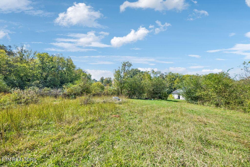 Level building site - 432 N Farnum St, Friendsville, TN 37737