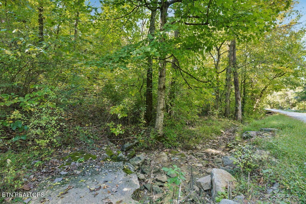 Stream - 432 N Farnum St, Friendsville, TN 37737