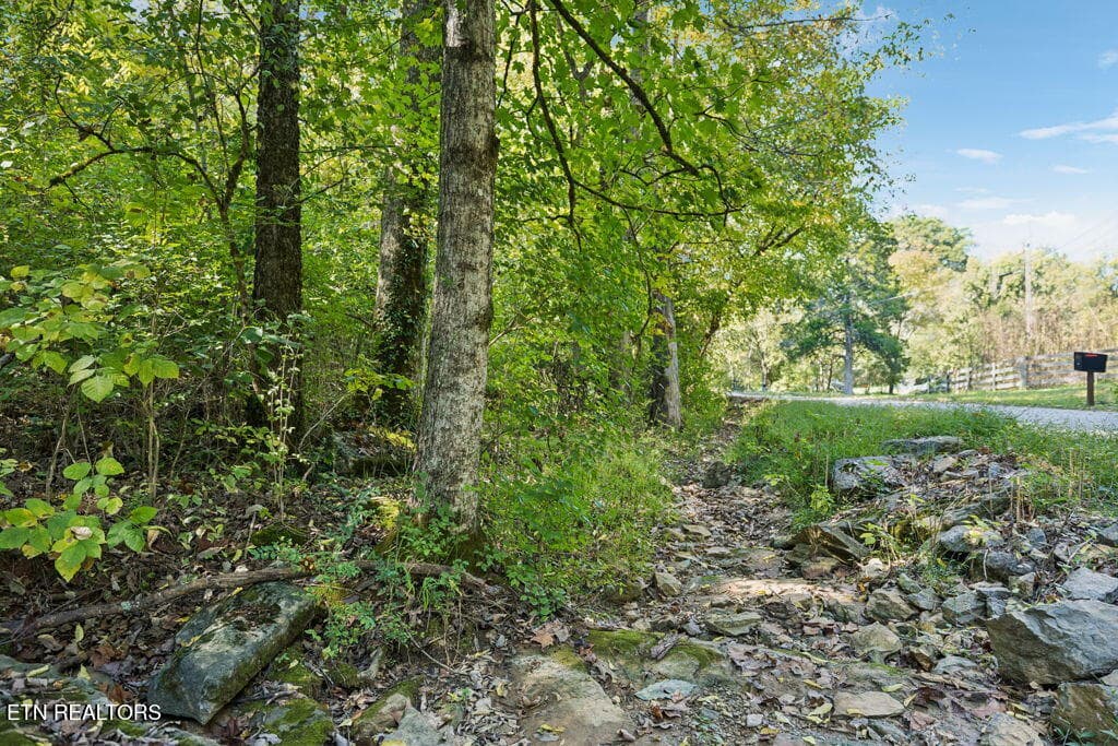 Road - 432 N Farnum St, Friendsville, TN 37737