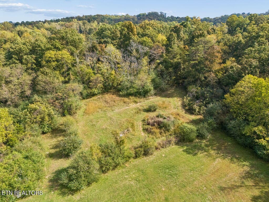 Partially Cleared - 432 N Farnum St, Friendsville, TN 37737