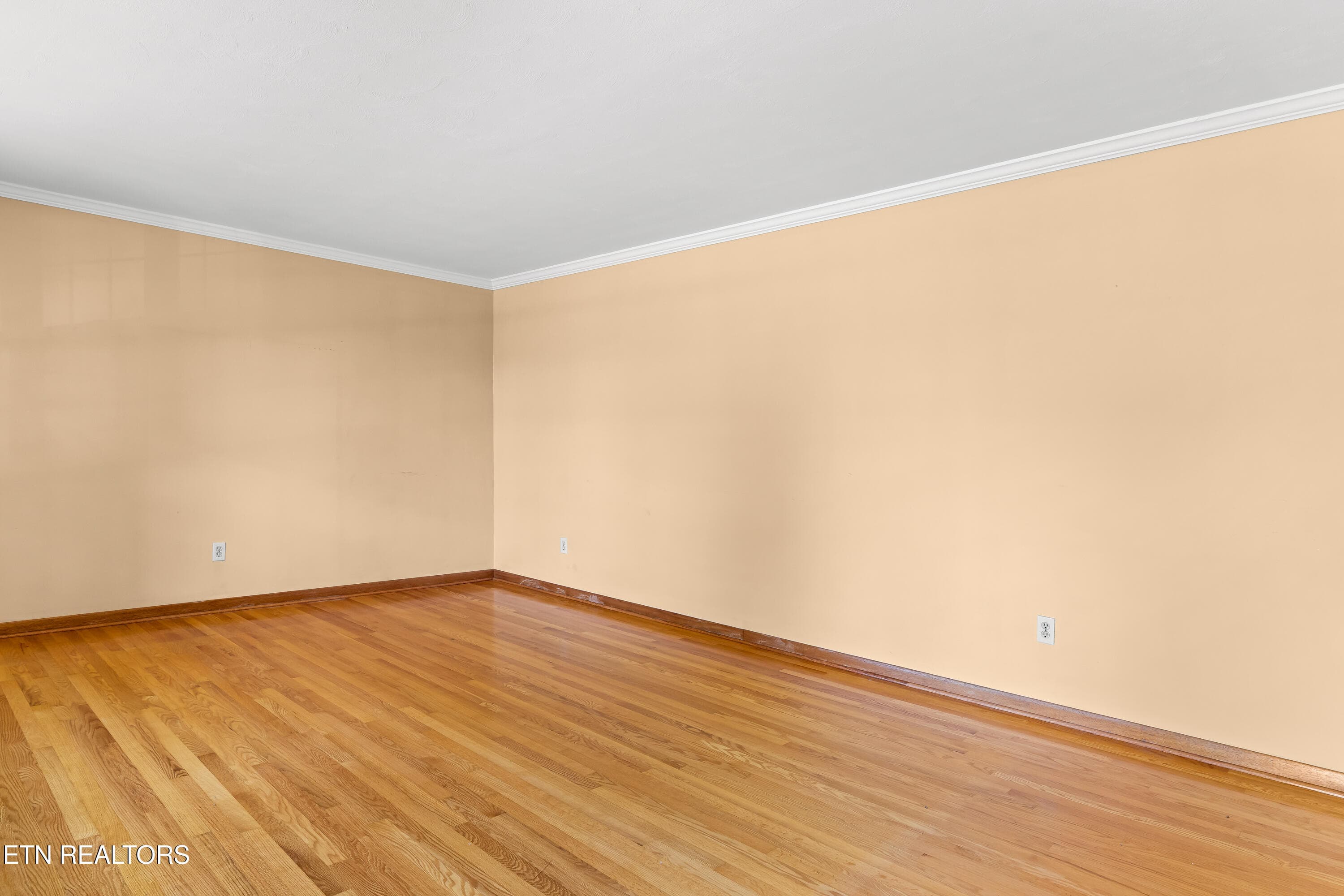 Living room - 5008 N Wildwood Rd, Maryville, TN 37804