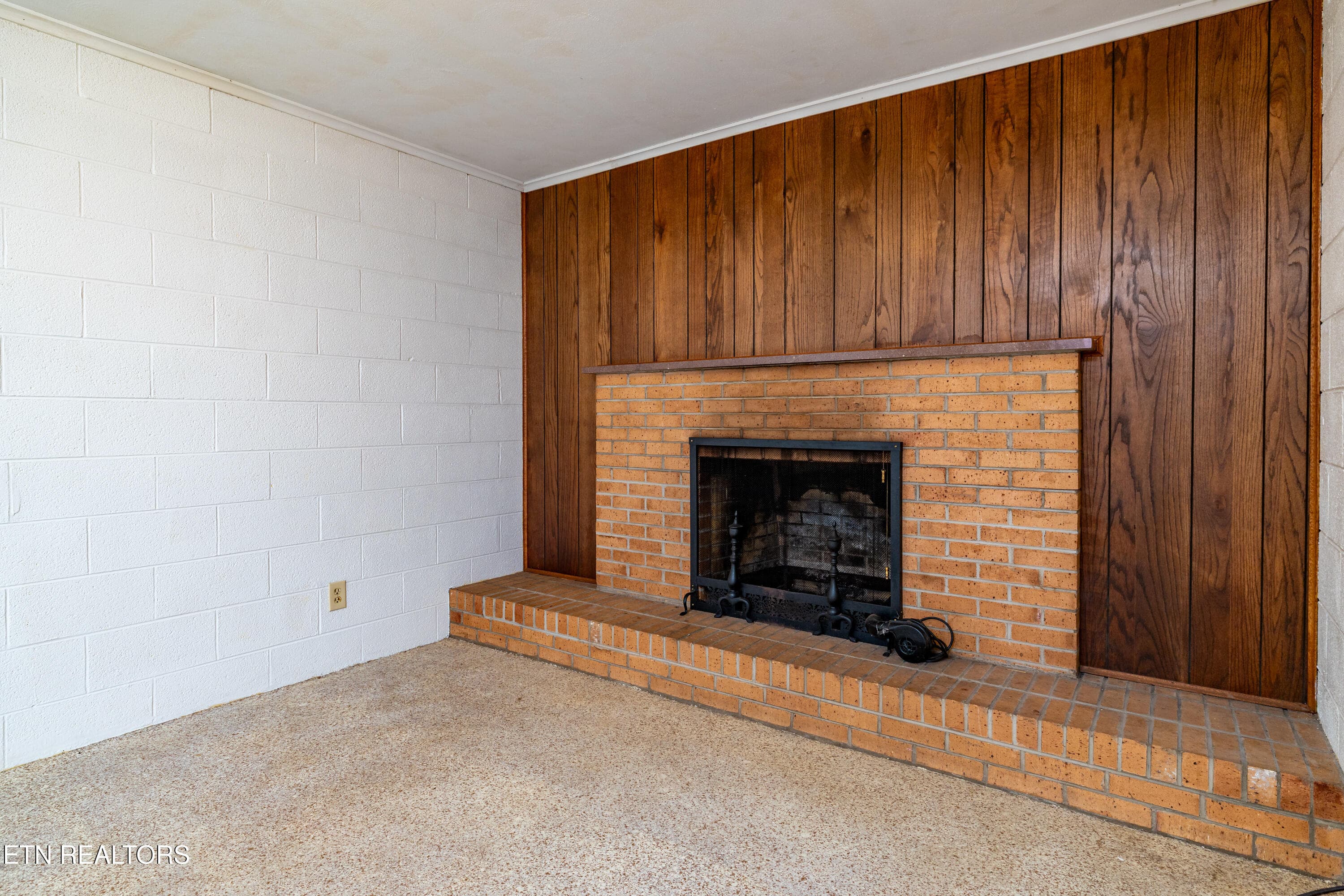 Rec room fireplace - 5008 N Wildwood Rd, Maryville, TN 37804
